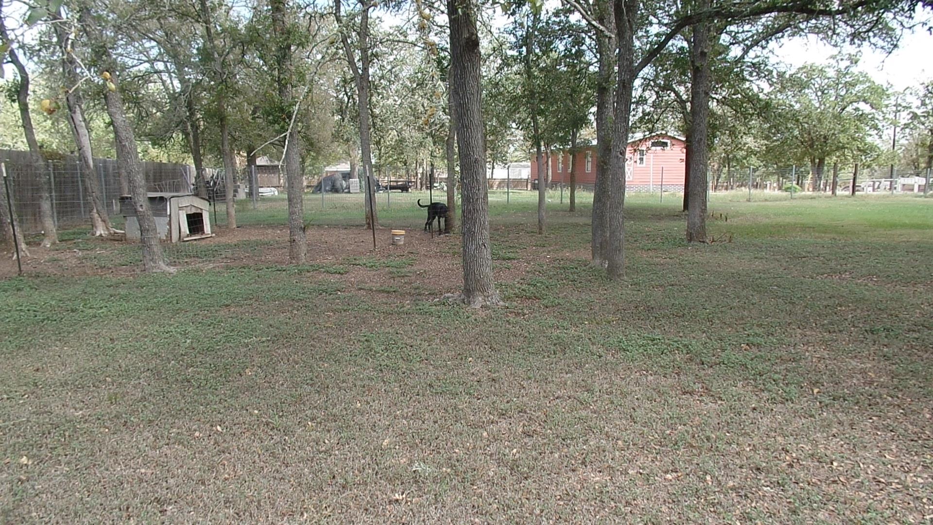 150 Mandy Ln Property Photo 32