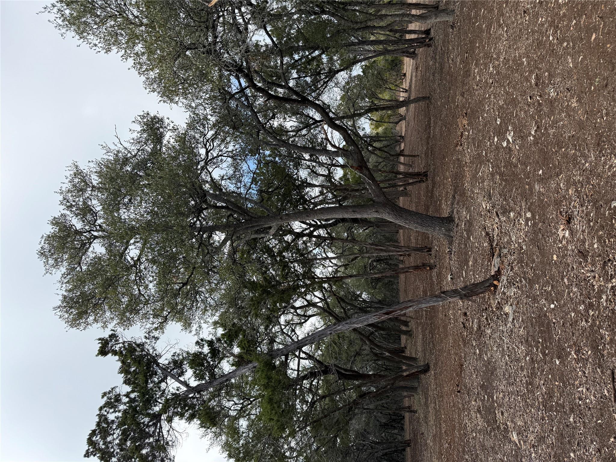 15 Acres Red Corral Ranch Rd Property Photo 12