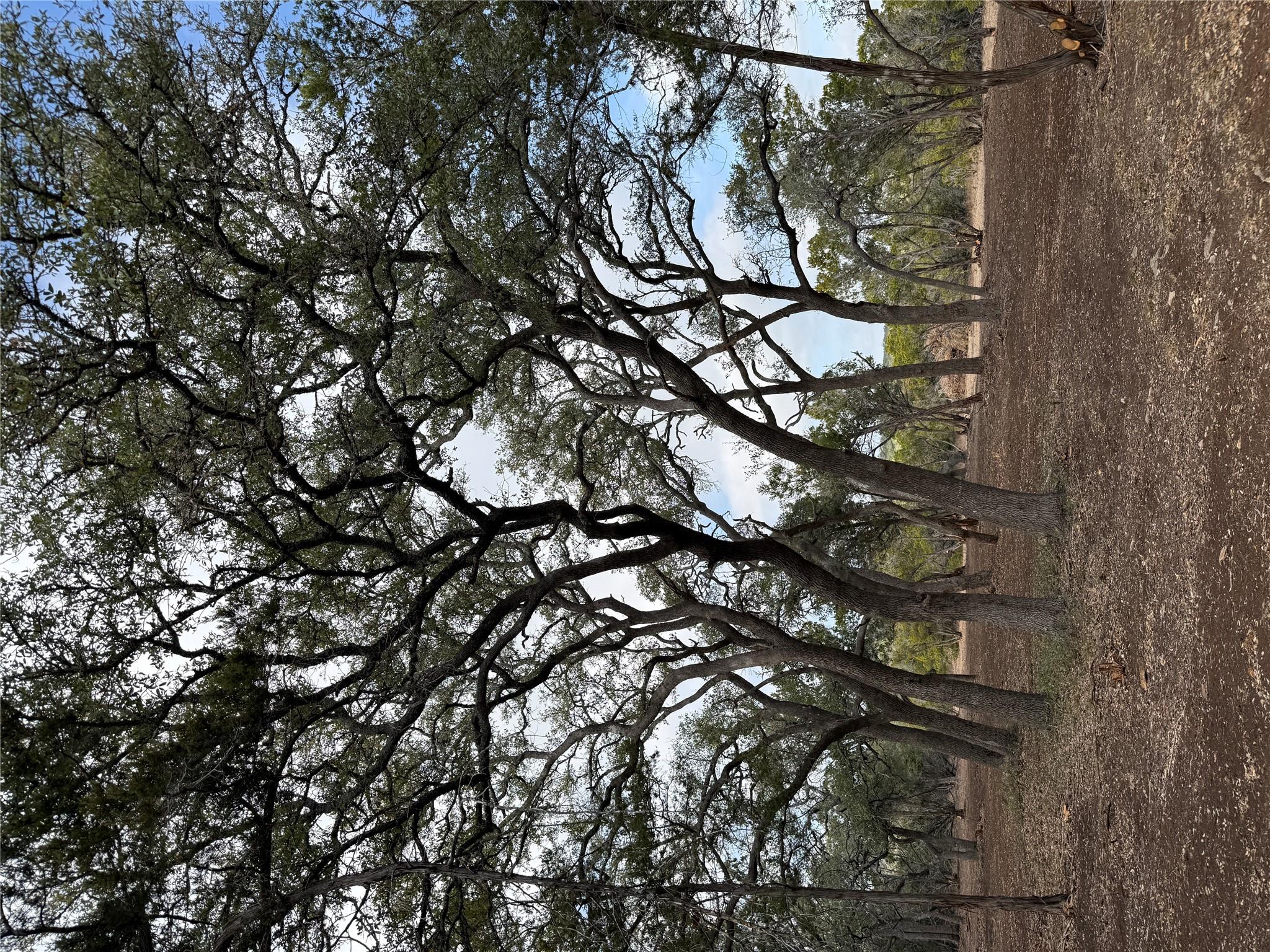 15 Acres Red Corral Ranch Rd Property Photo 13