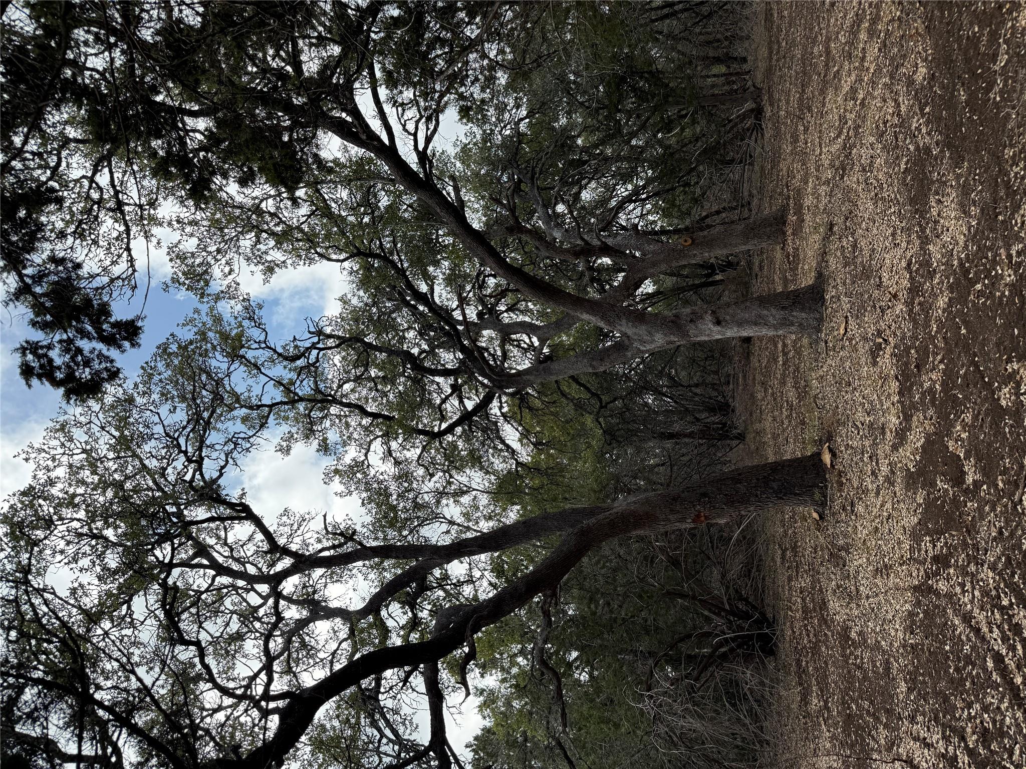 15 Acres Red Corral Ranch Rd Property Photo 14