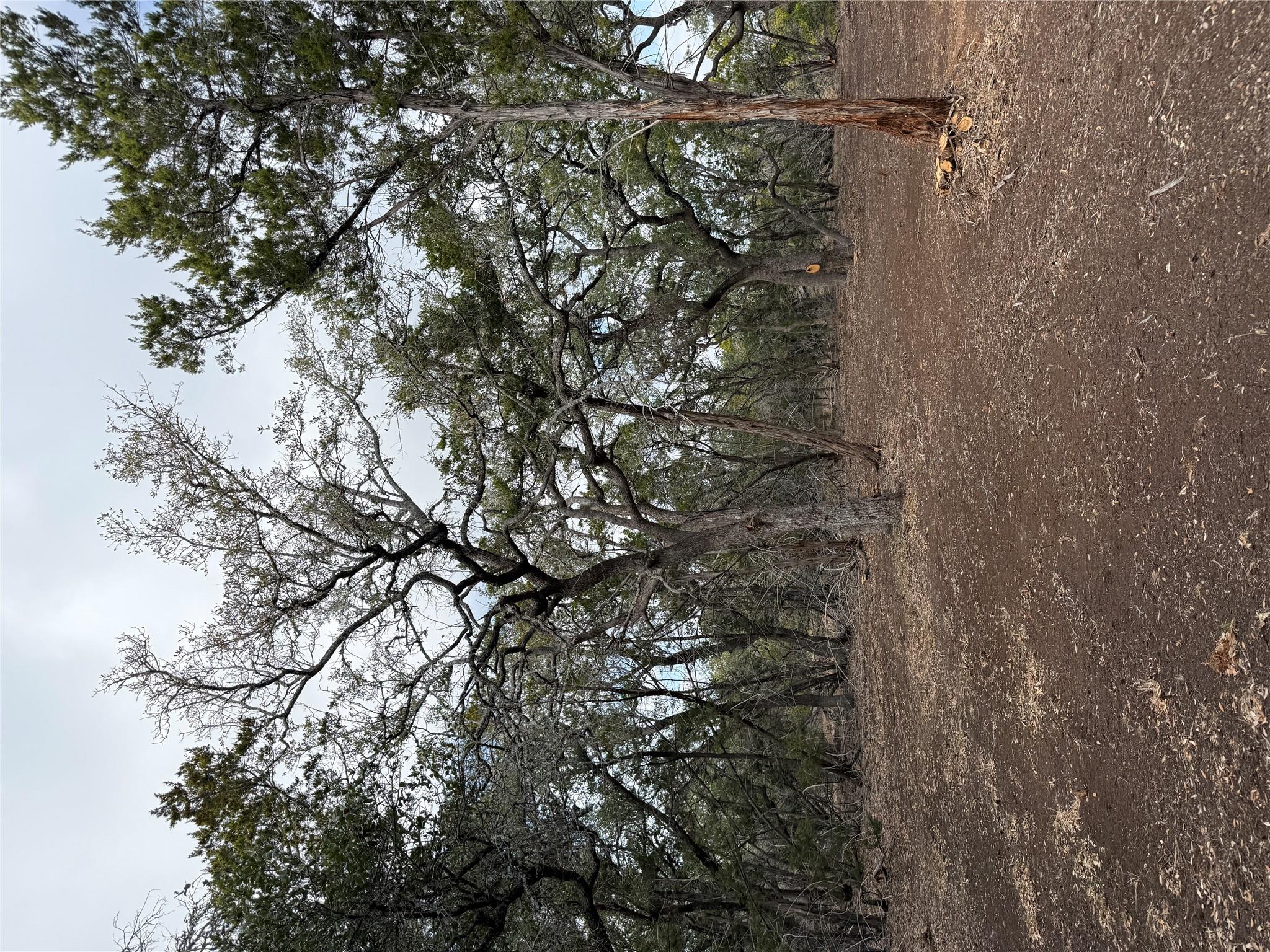15 Acres Red Corral Ranch Rd Property Photo 15