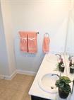 1108 Laceflower Ln Property Photo 21