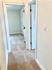 1108 Laceflower Ln Property Photo 23