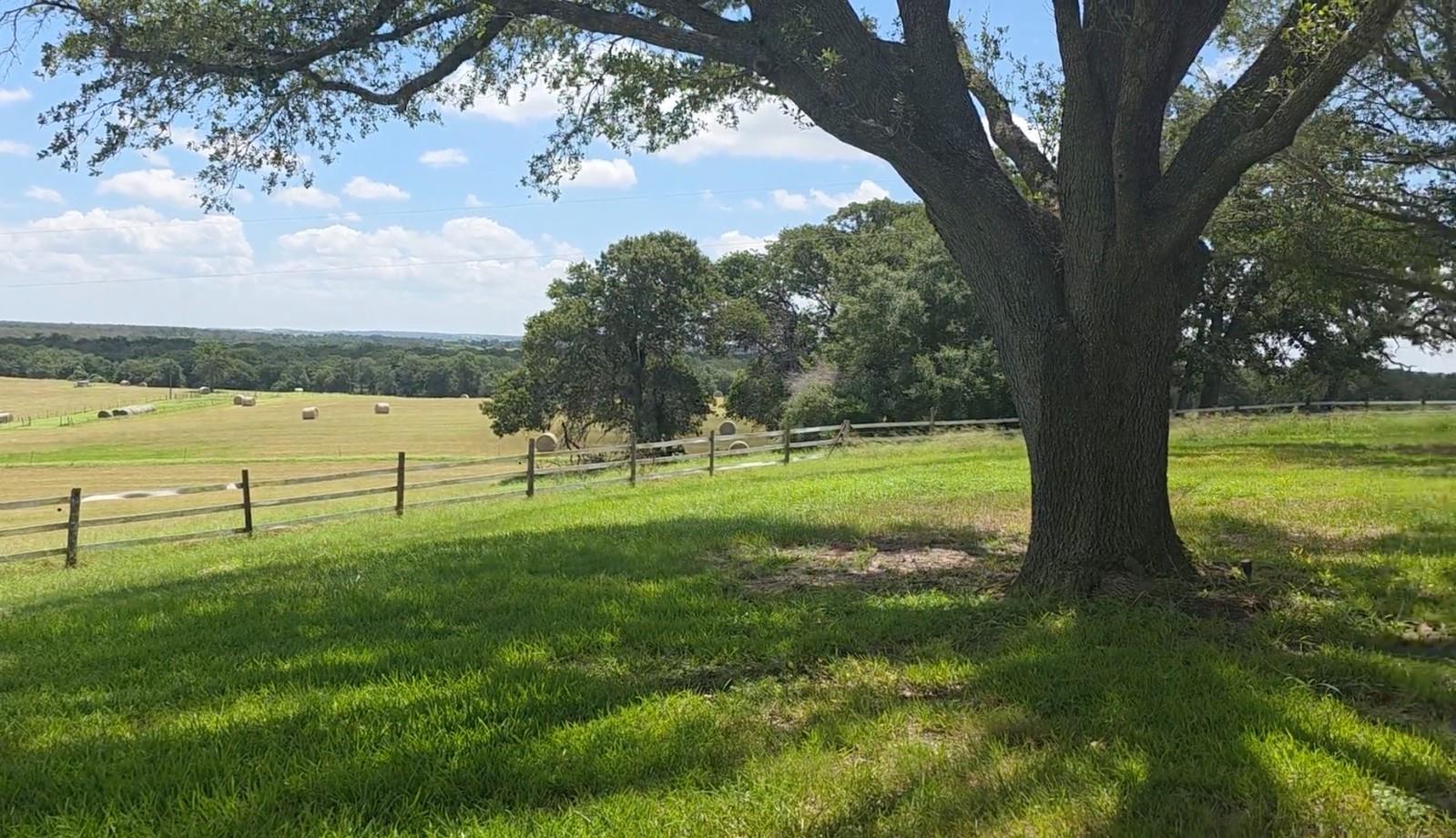 3083129 Property Photo 7