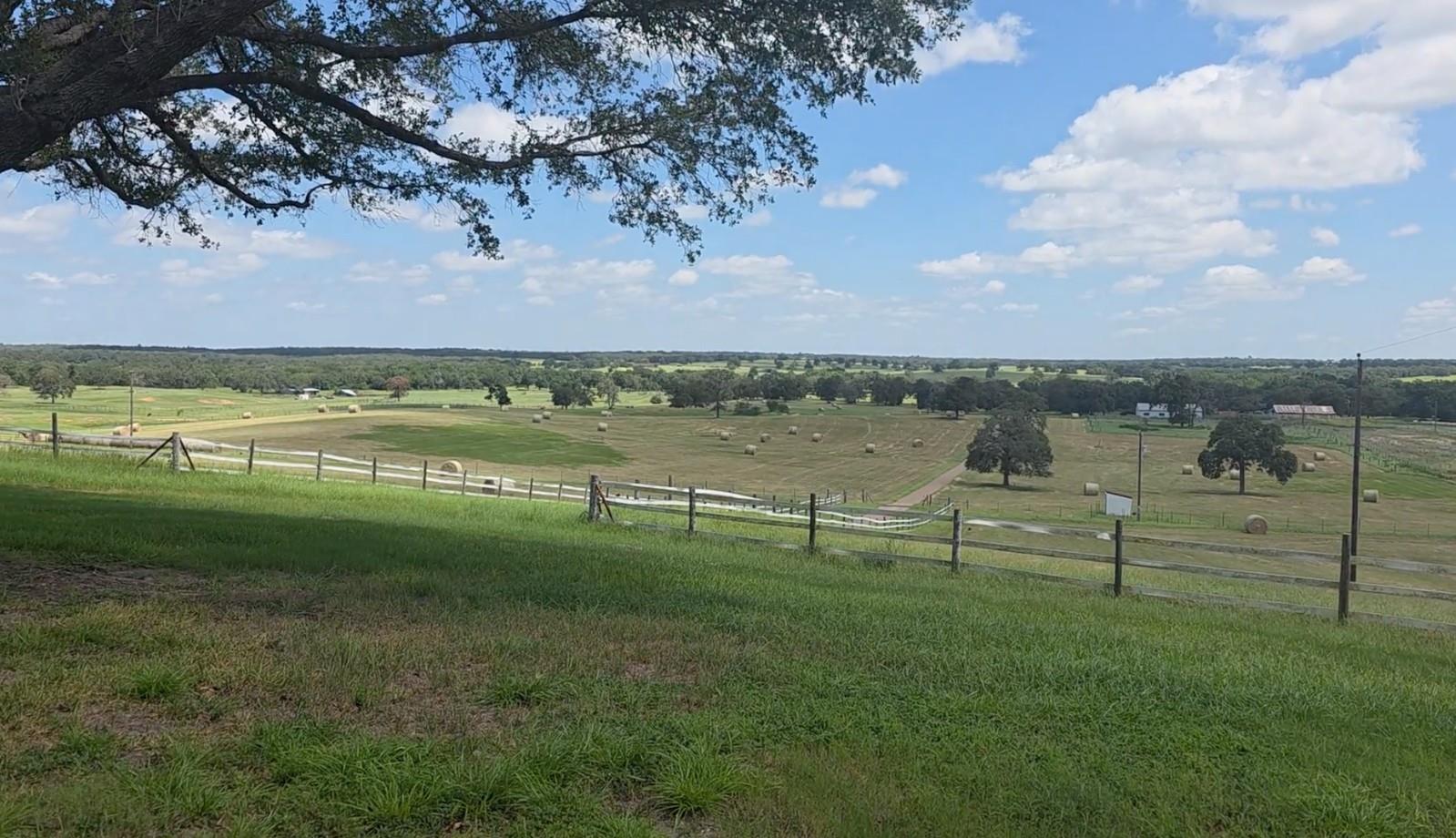 3083129 Property Photo 8