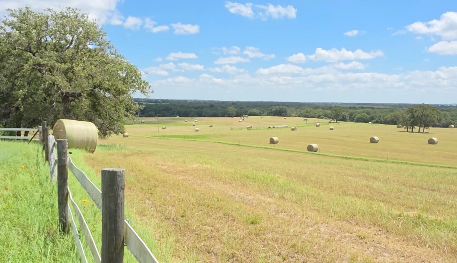 3083129 Property Photo 9