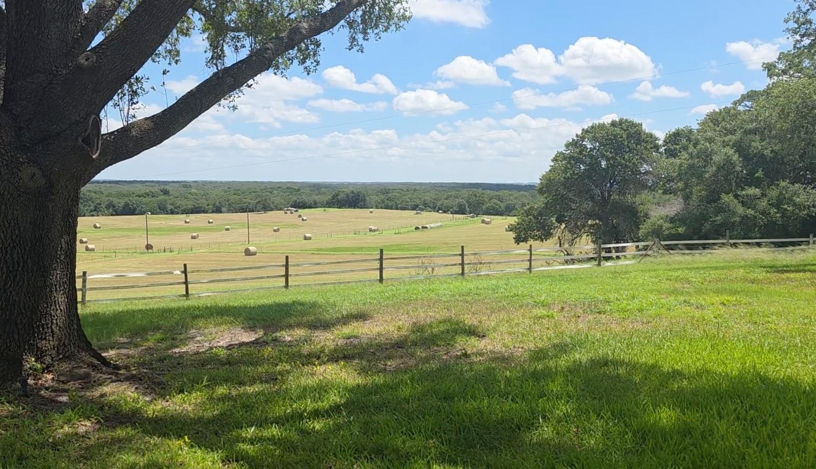 3083129 Property Photo 10