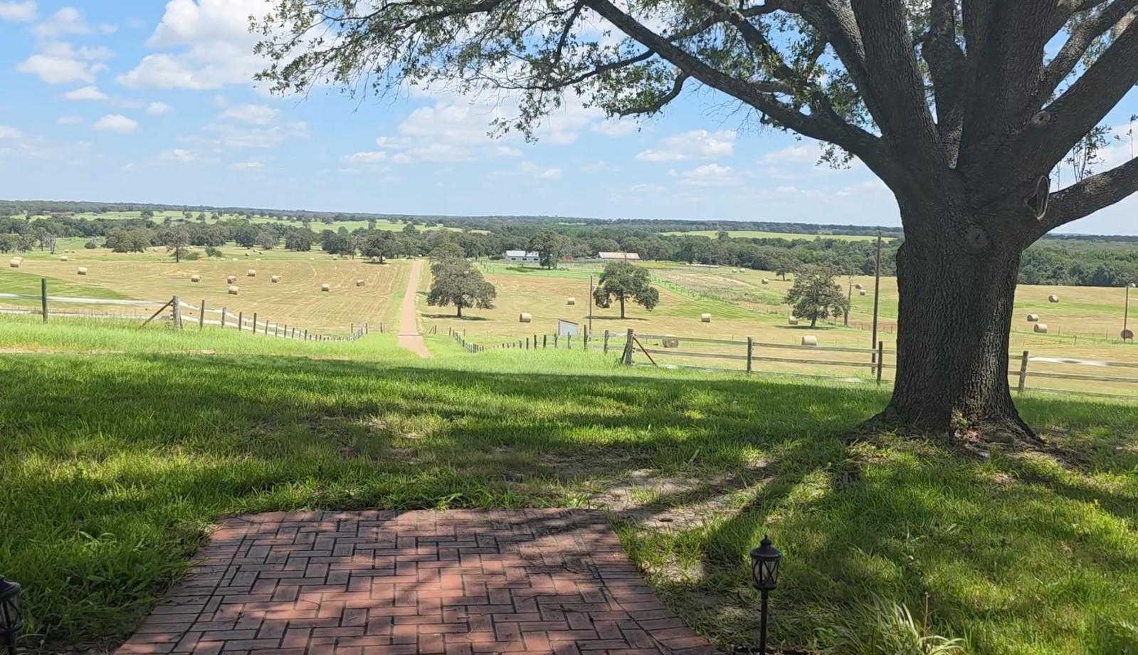 3083129 Property Photo 11
