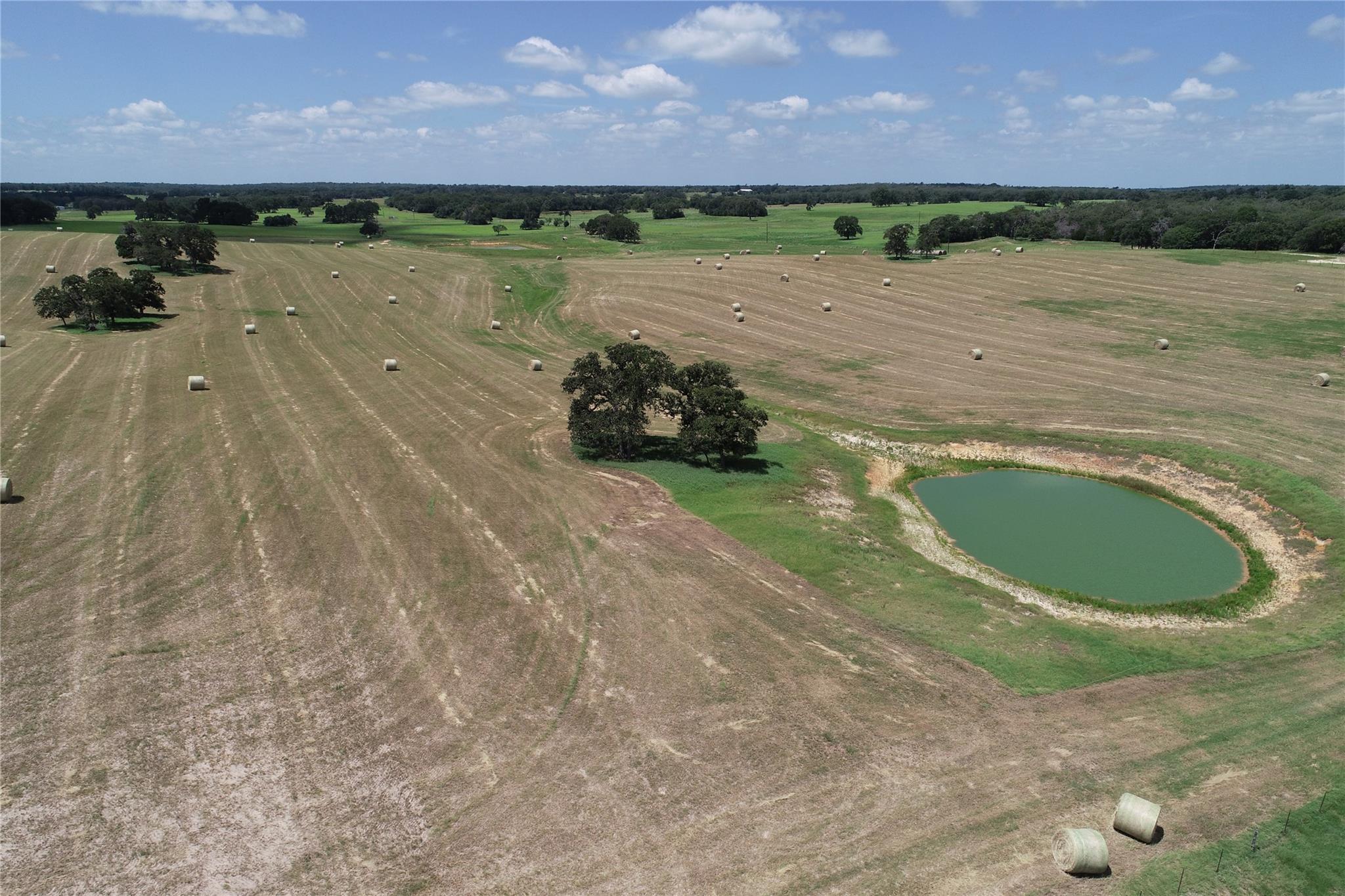 3083129 Property Photo 13