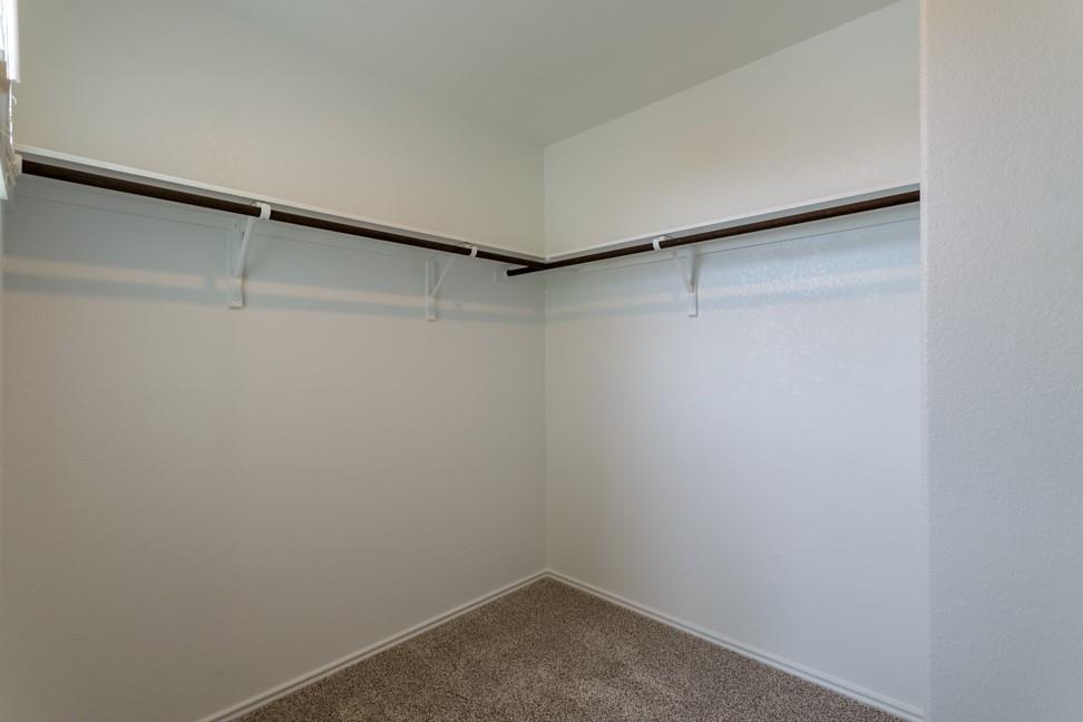 7104 Spotted Leaf Way Property Photo 22