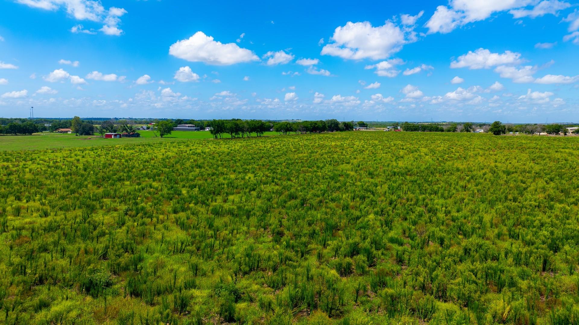7201 Fm 725 Property Photo 16