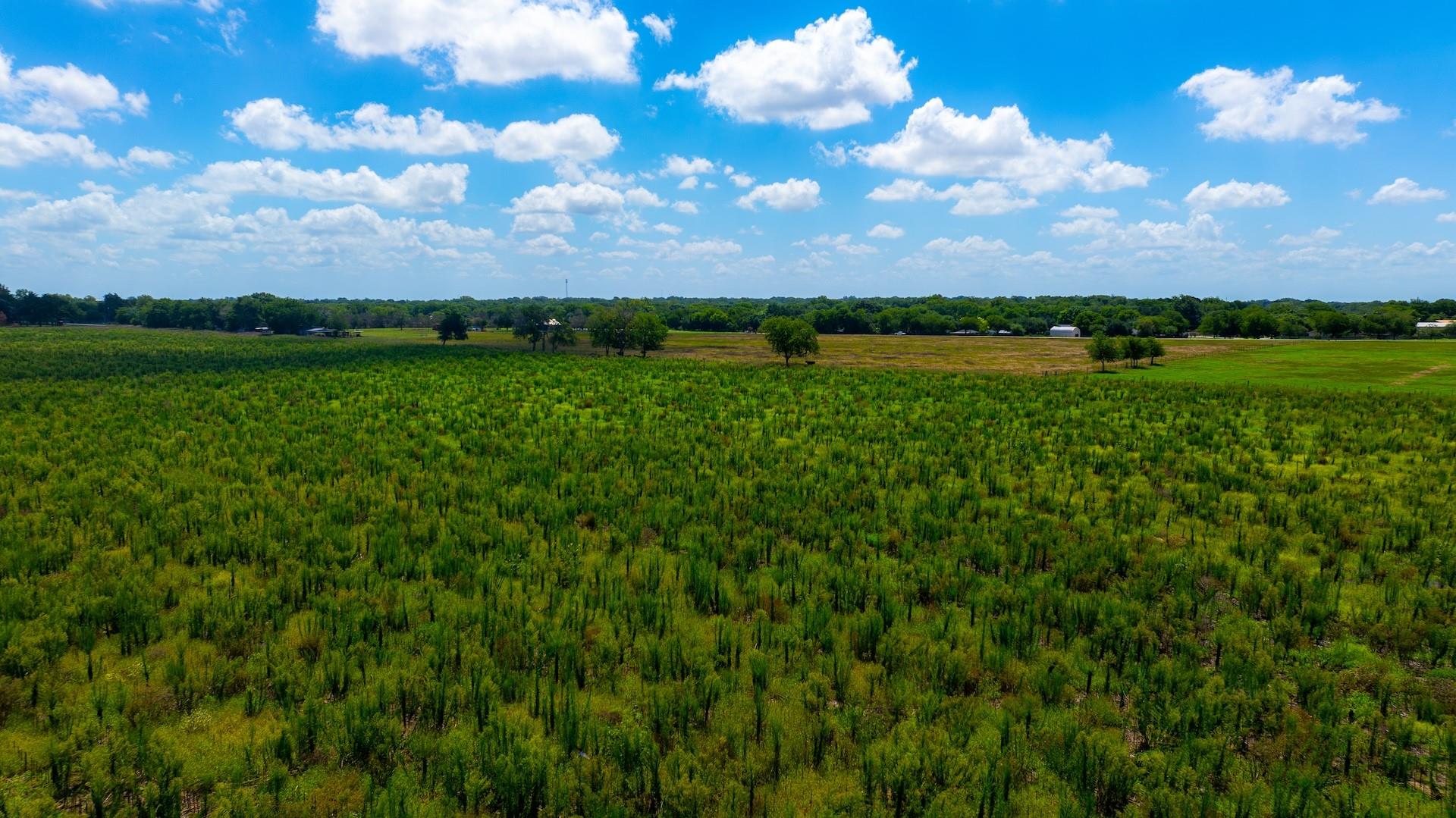 7201 Fm 725 Property Photo 17