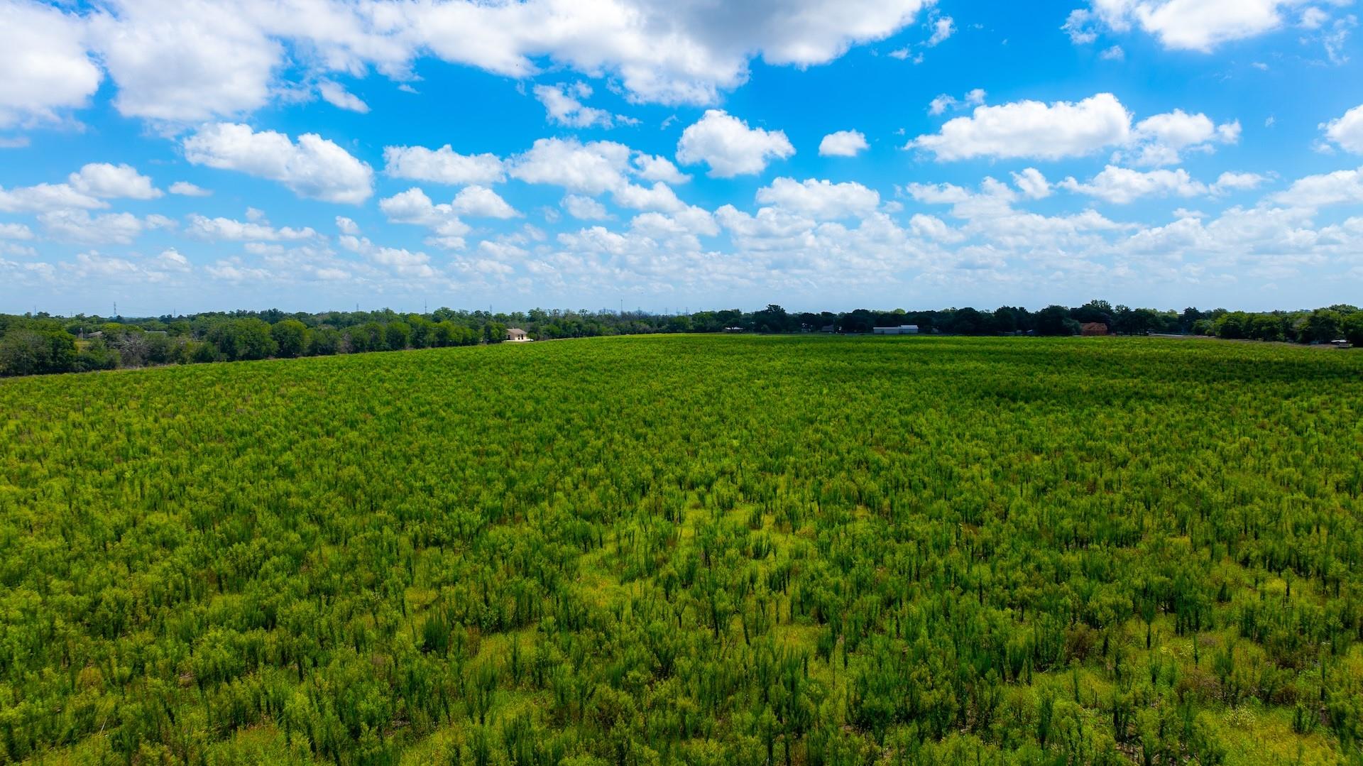 7201 Fm 725 Property Photo 18