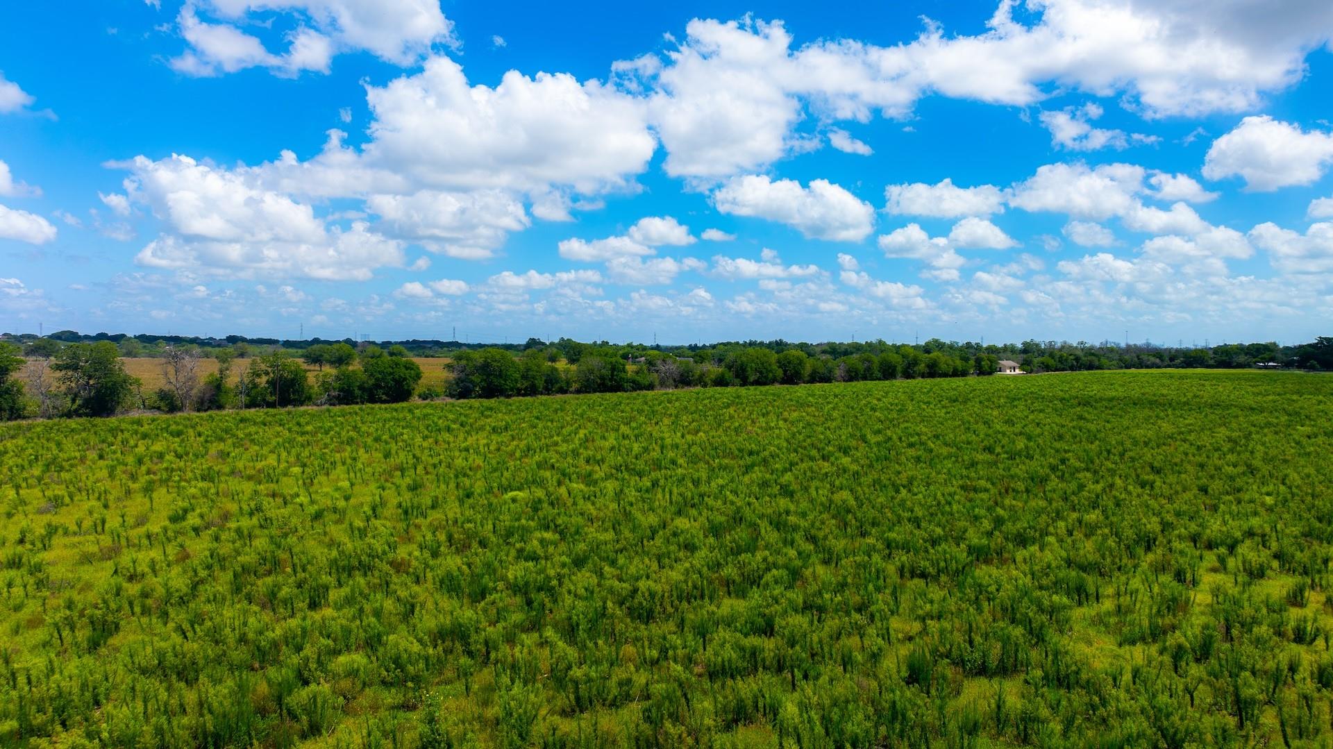 7201 Fm 725 Property Photo 19