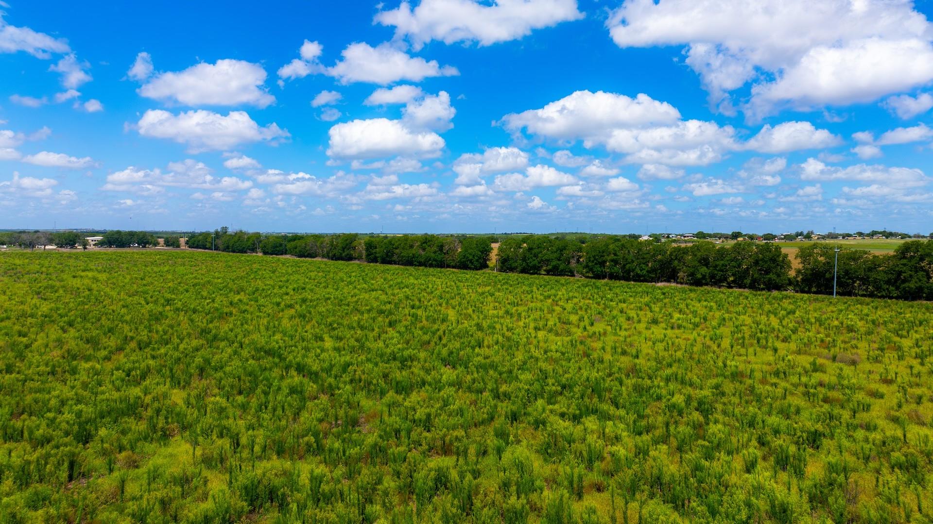 7201 Fm 725 Property Photo 20