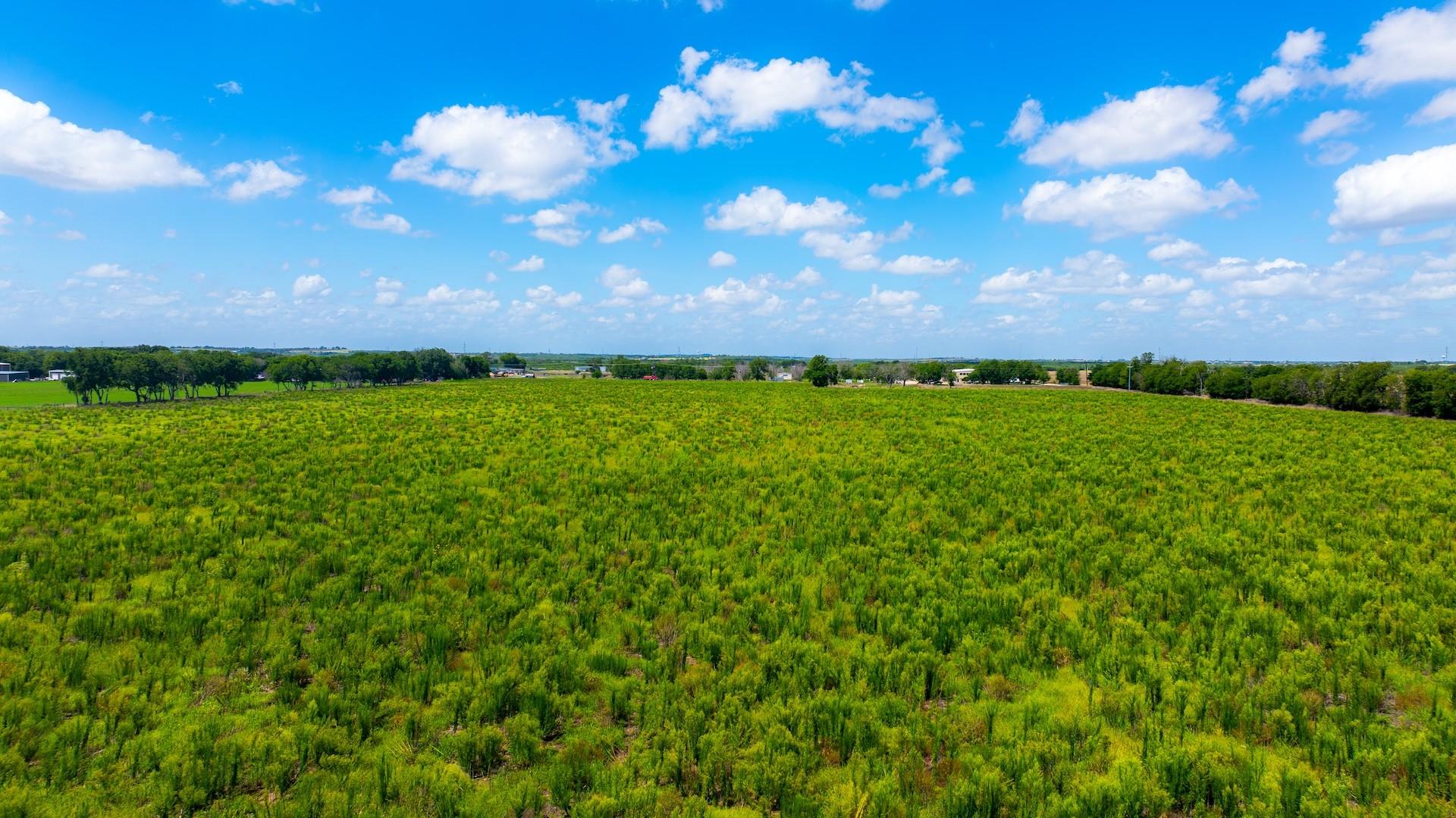 7201 Fm 725 Property Photo 21
