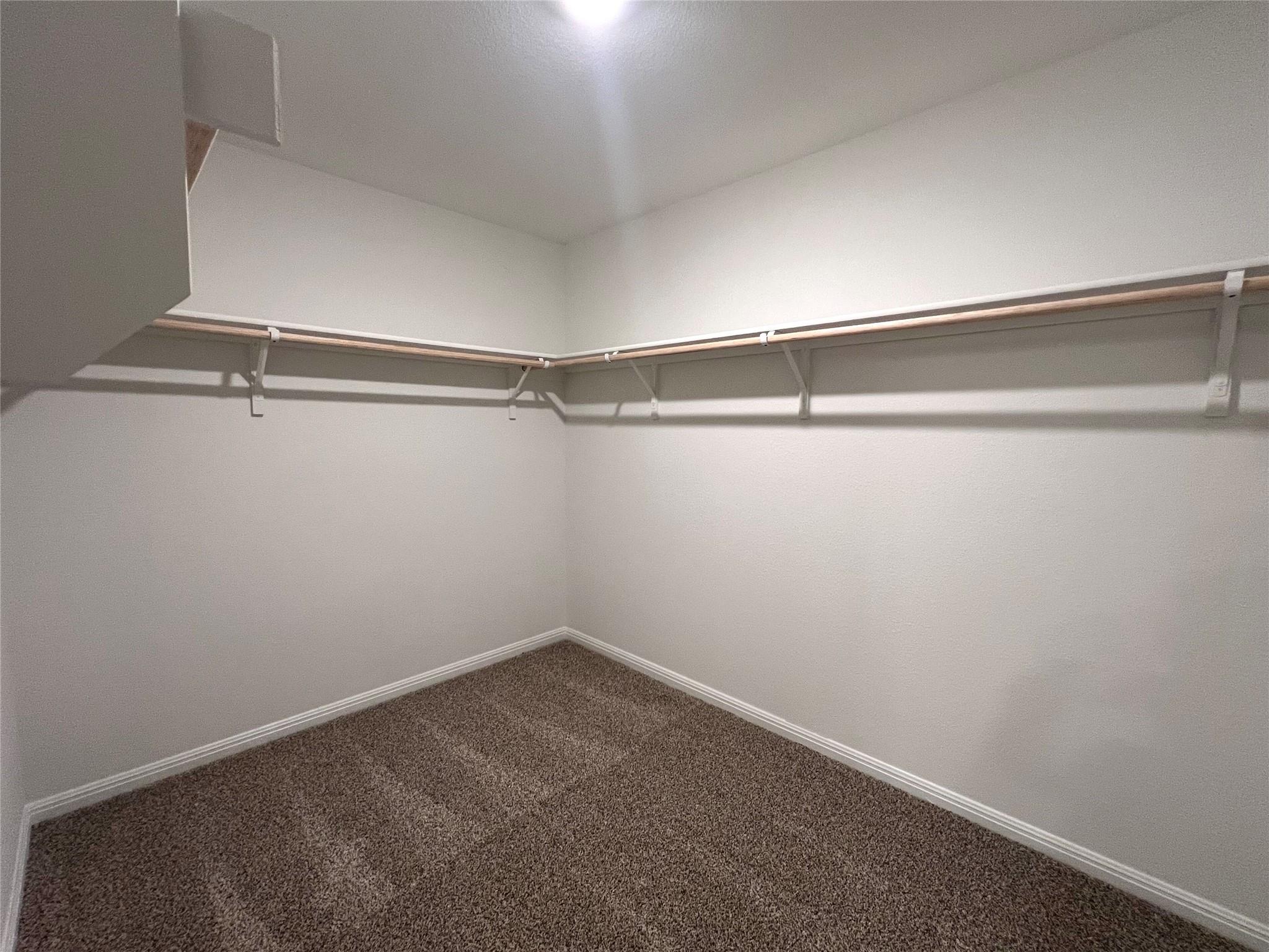2724 Indian Clover Trl Property Photo 18