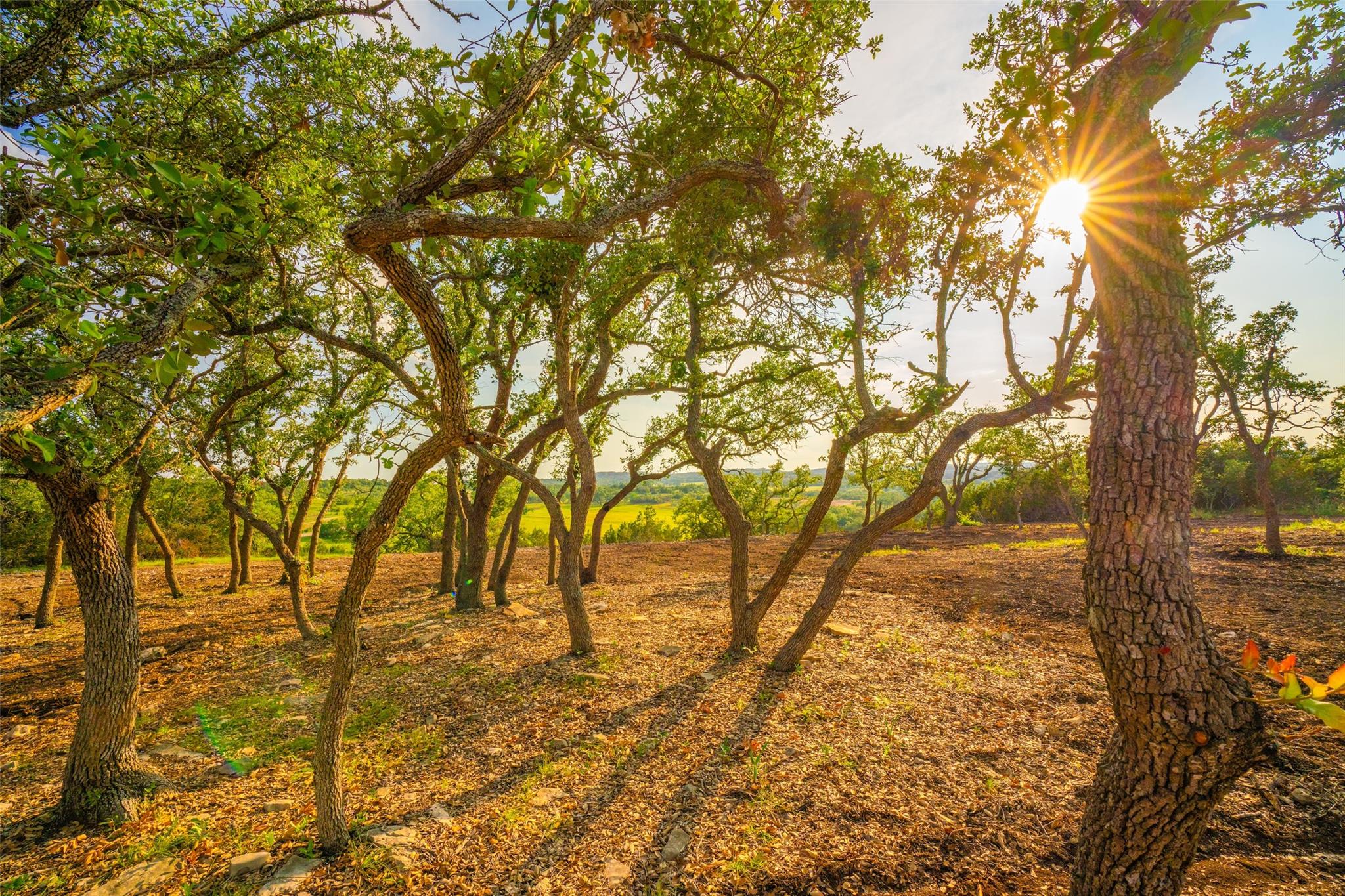 Address Unavailable Property Photo 1