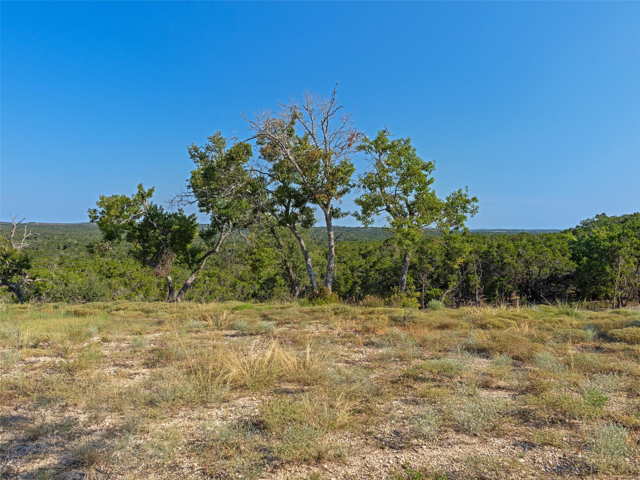 3101018 Property Photo 2