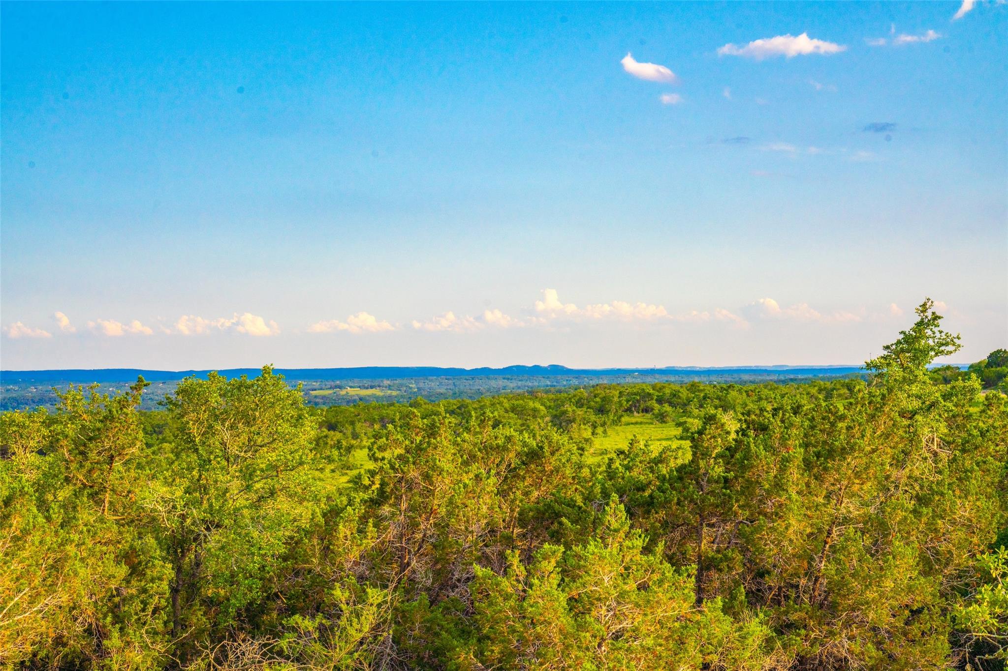 3101018 Property Photo 4