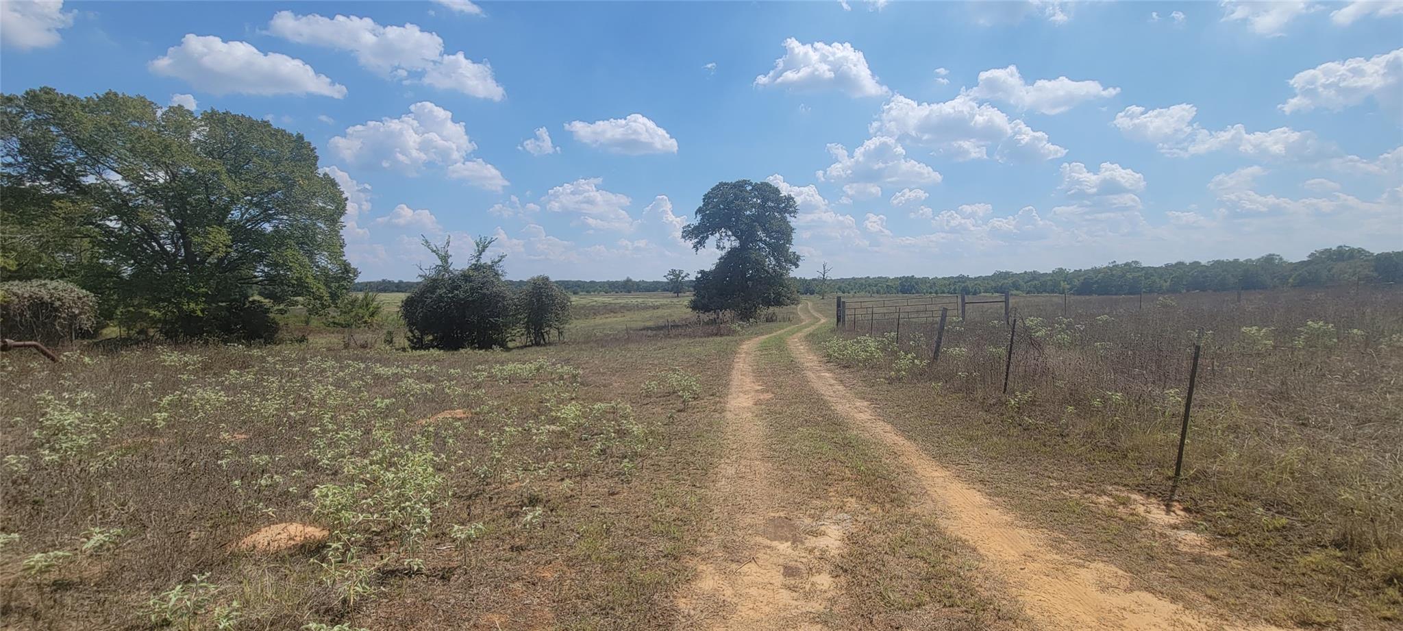 000 Country Road 342 Property Photo 4