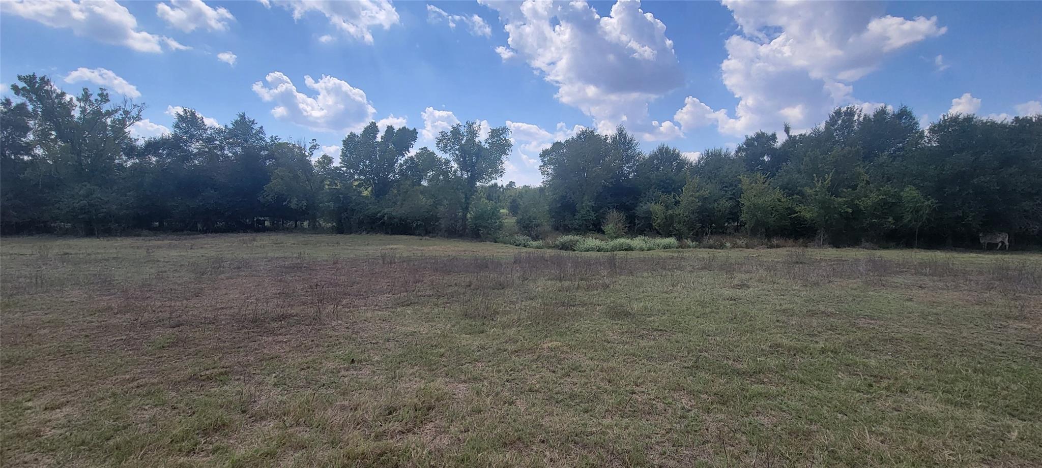 000 Country Road 342 Property Photo 9