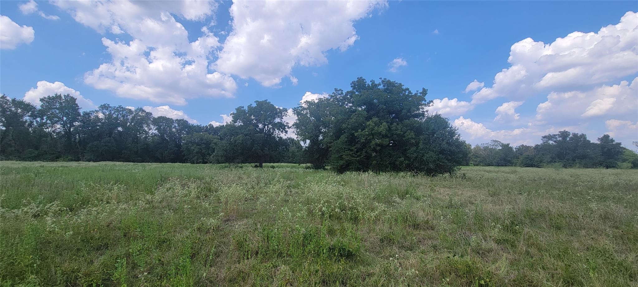 000 Country Road 342 Property Photo 11