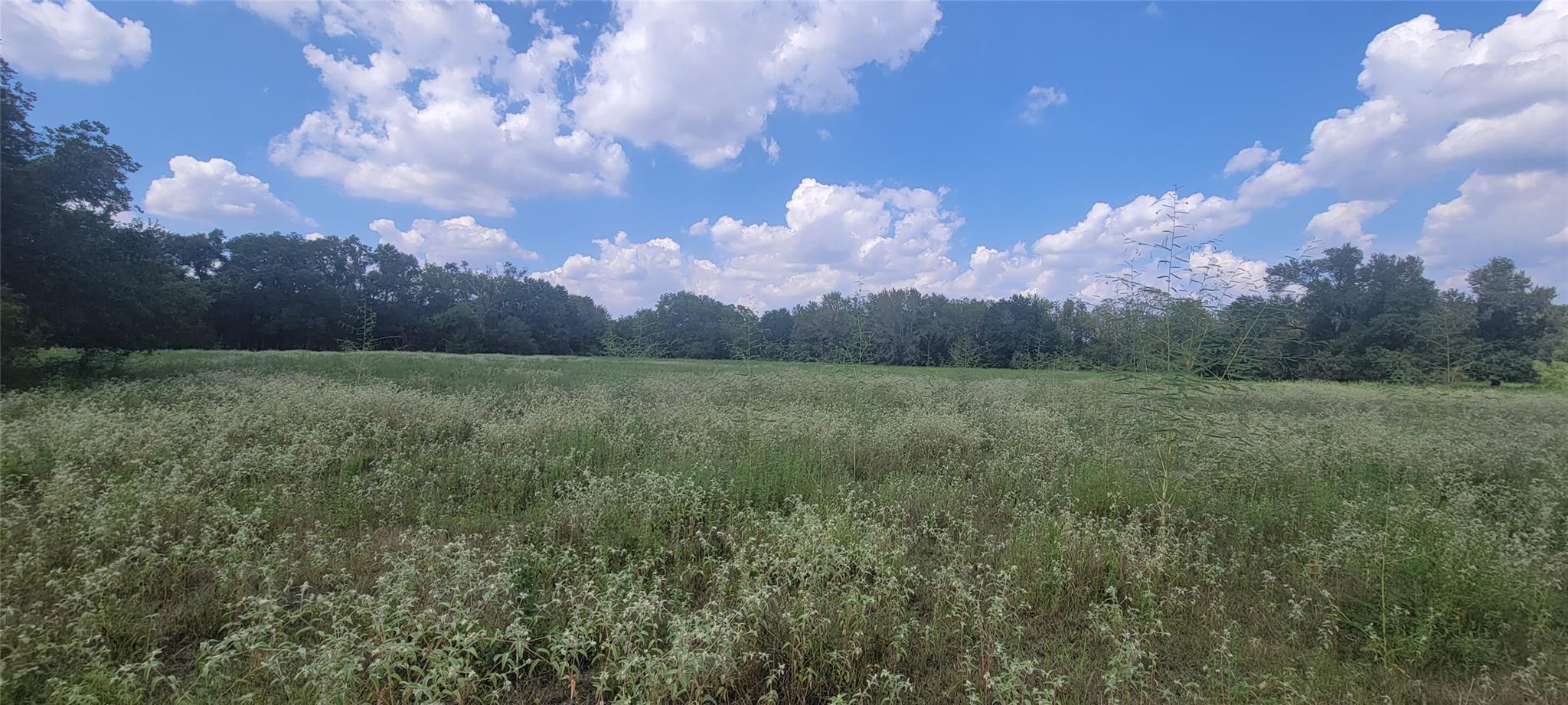 000 Country Road 342 Property Photo 12