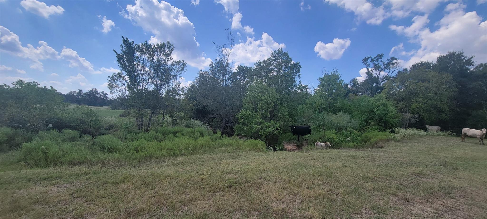 000 Country Road 342 Property Photo 13