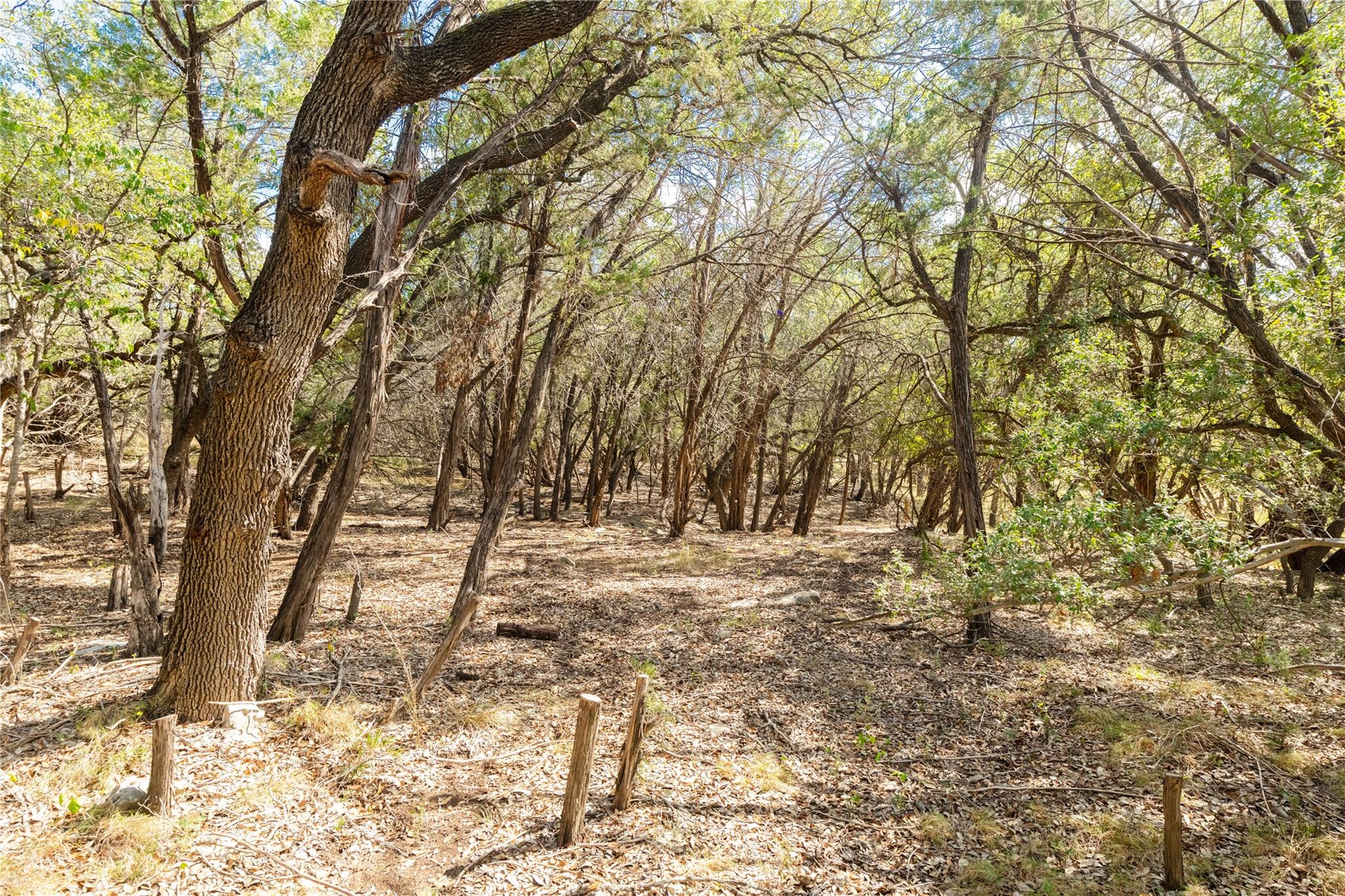 21402 Broken Bow Cv Property Photo 1