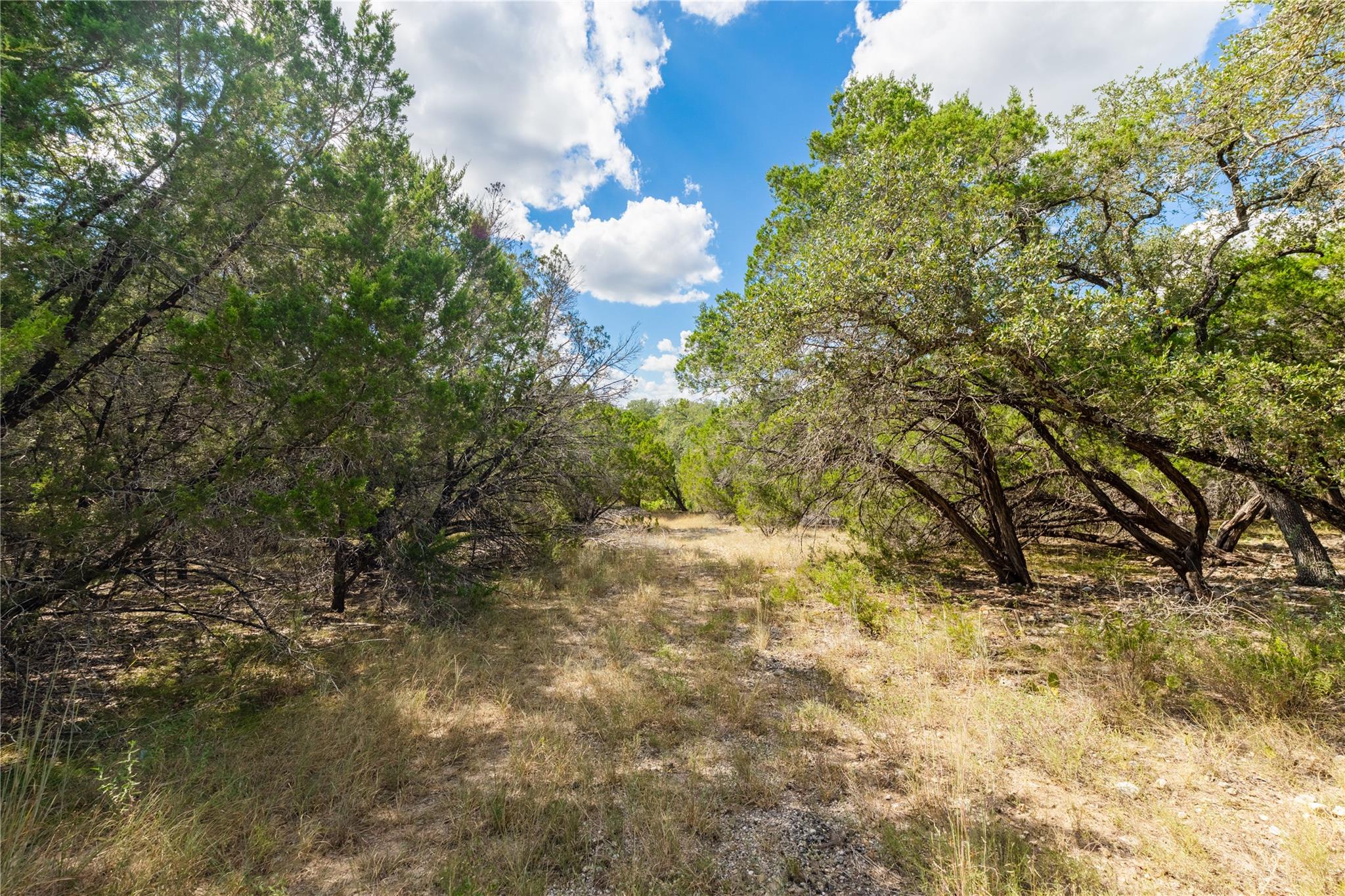 21402 Broken Bow Cv Property Photo 9