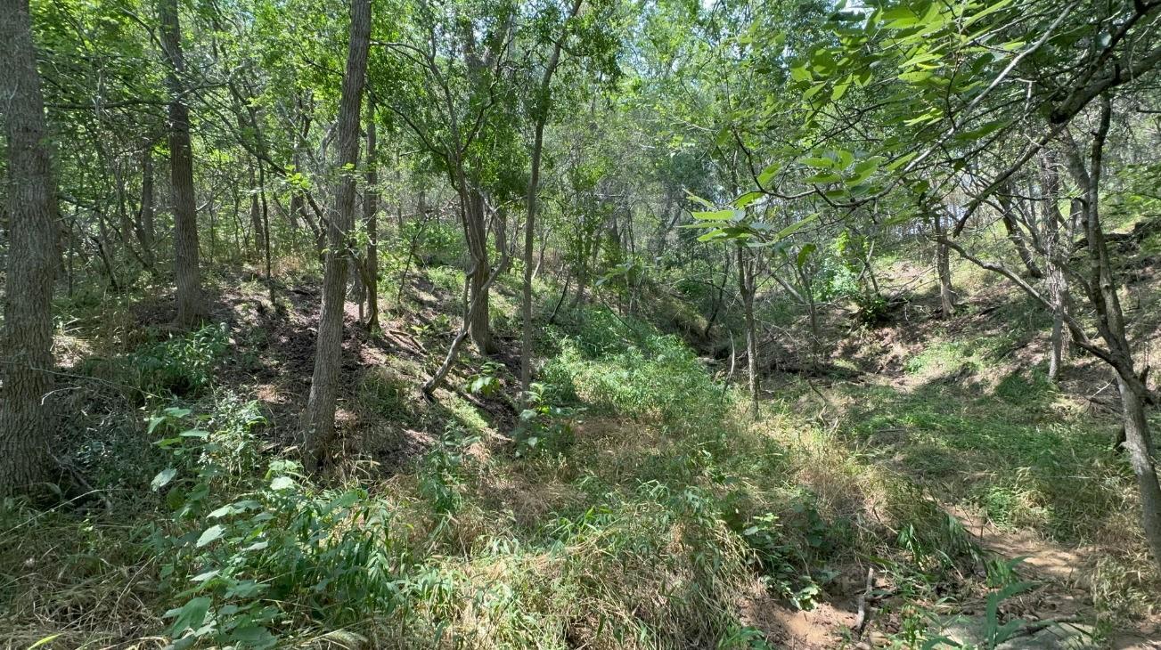 Lot 649 Kaukonahua Ln Property Photo 1