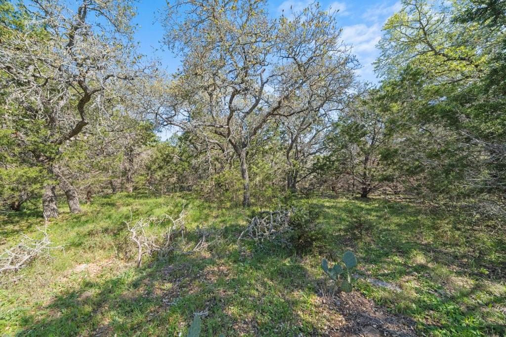 Tbd Summer Mountain Dr Property Photo 1