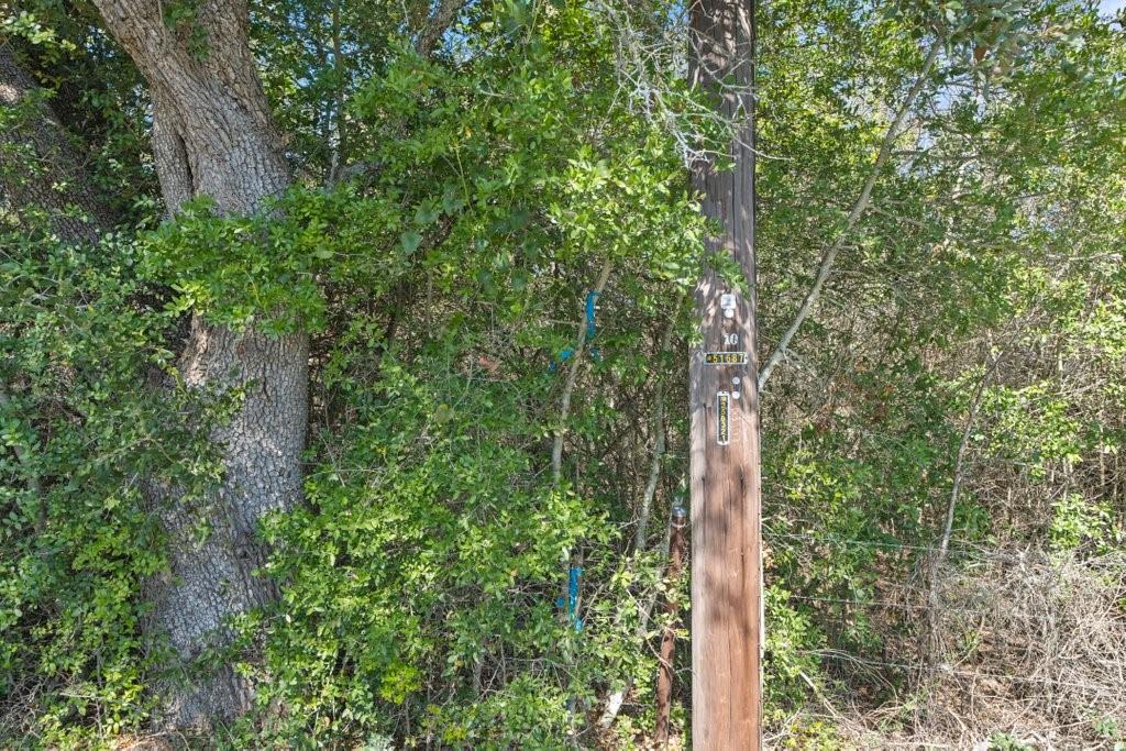 Tbd Summer Mountain Dr Property Photo 14