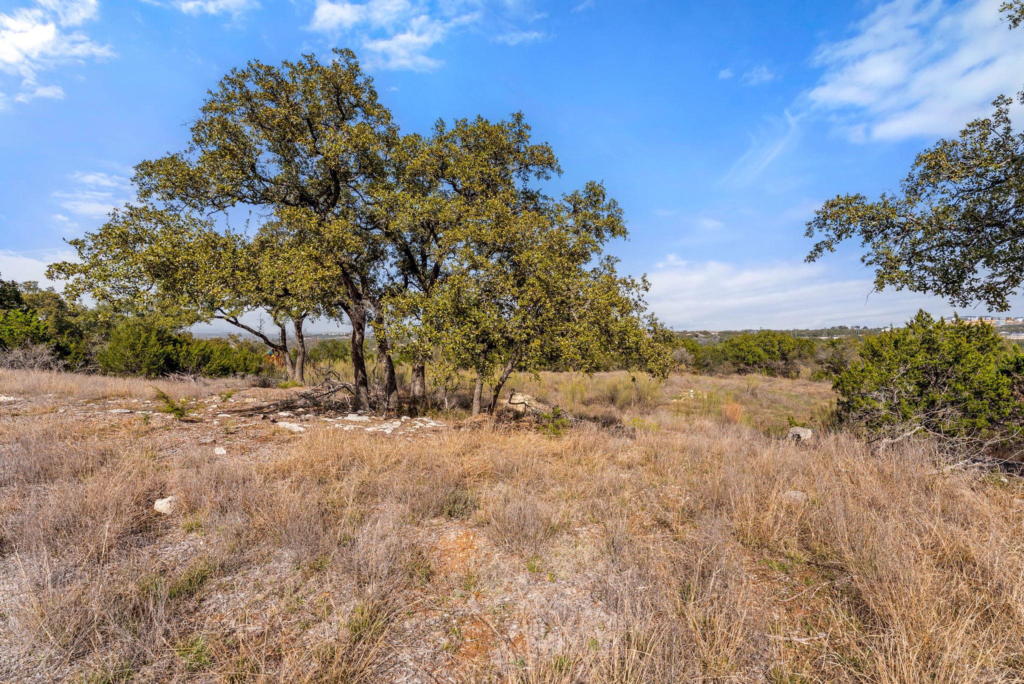 19504 Single Peak Cv Property Photo 2
