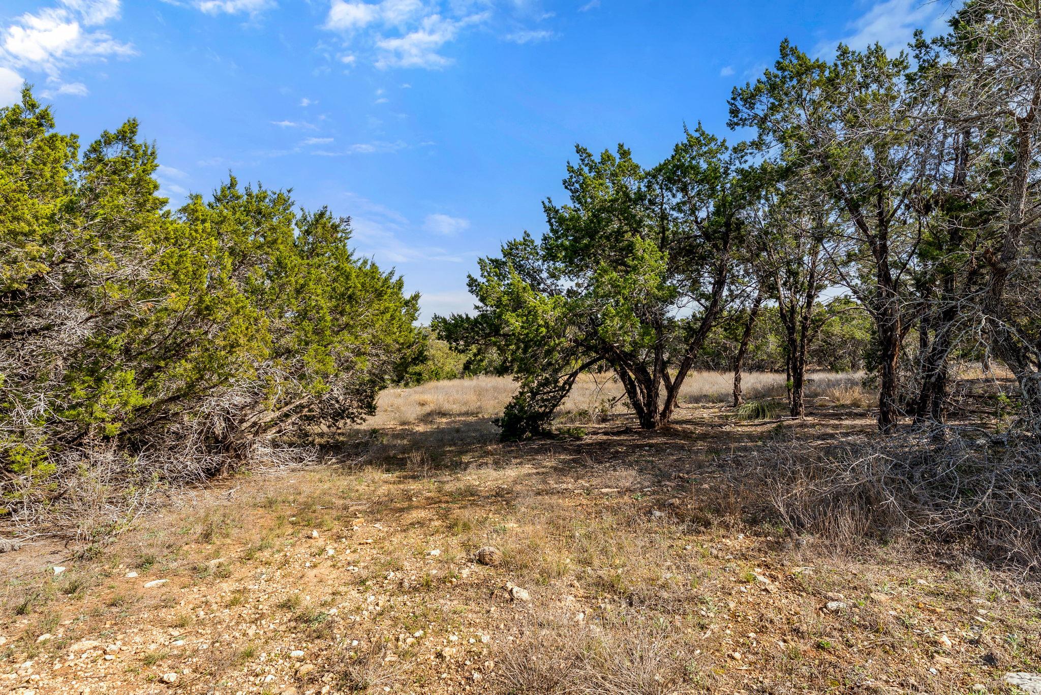 19504 Single Peak Cv Property Photo 3