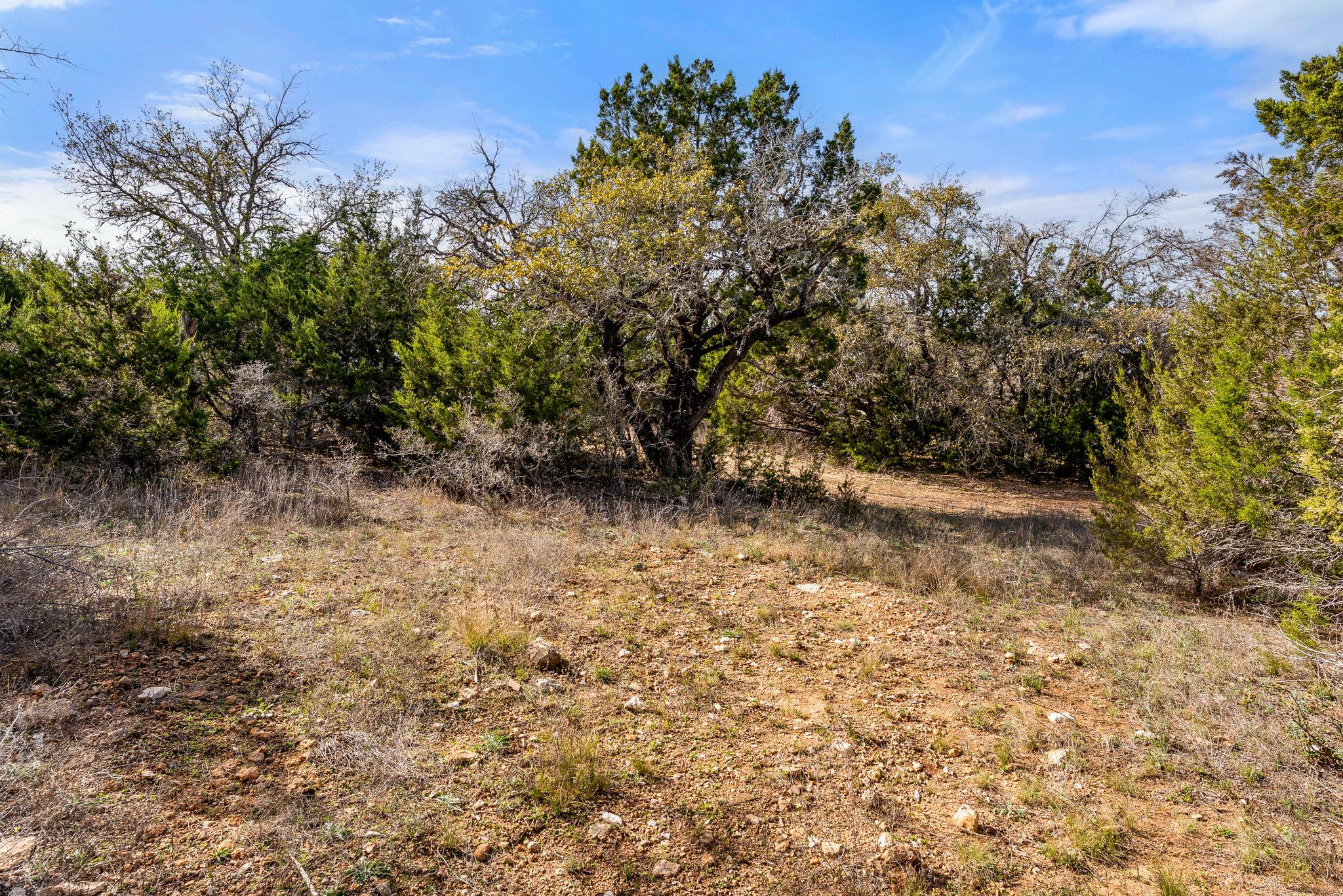 19504 Single Peak Cv Property Photo 20