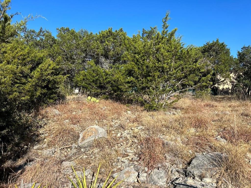 1307 Tanglewood Trl Property Photo 2