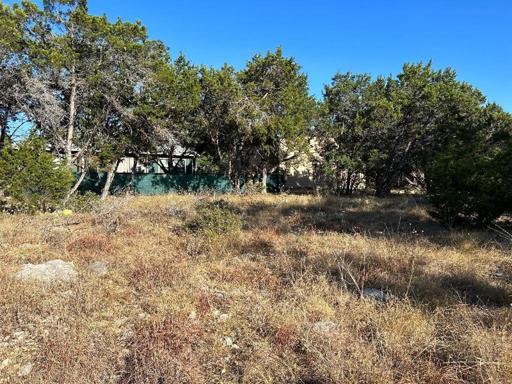 1307 Tanglewood Trl Property Photo 3