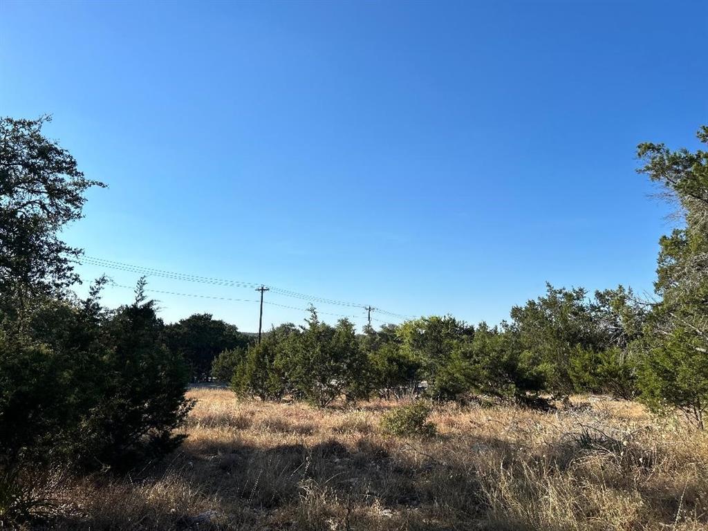 1307 Tanglewood Trl Property Photo 6