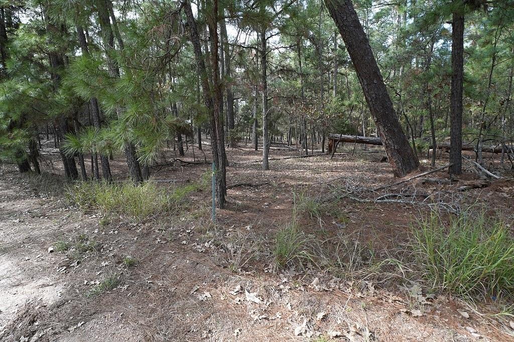 000 Red Fox Rd Property Photo