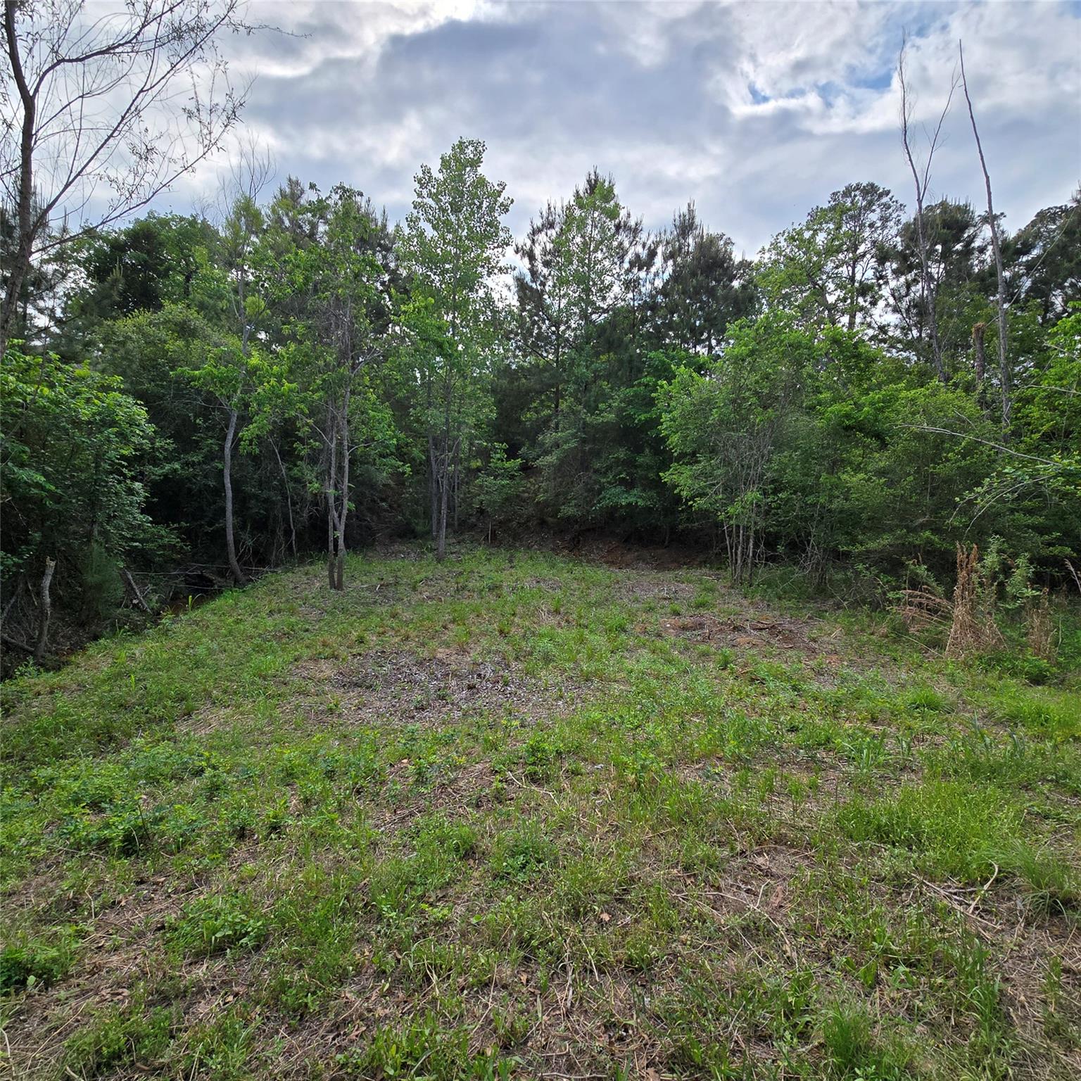 Tbd N Kanaio Dr Property Photo 3