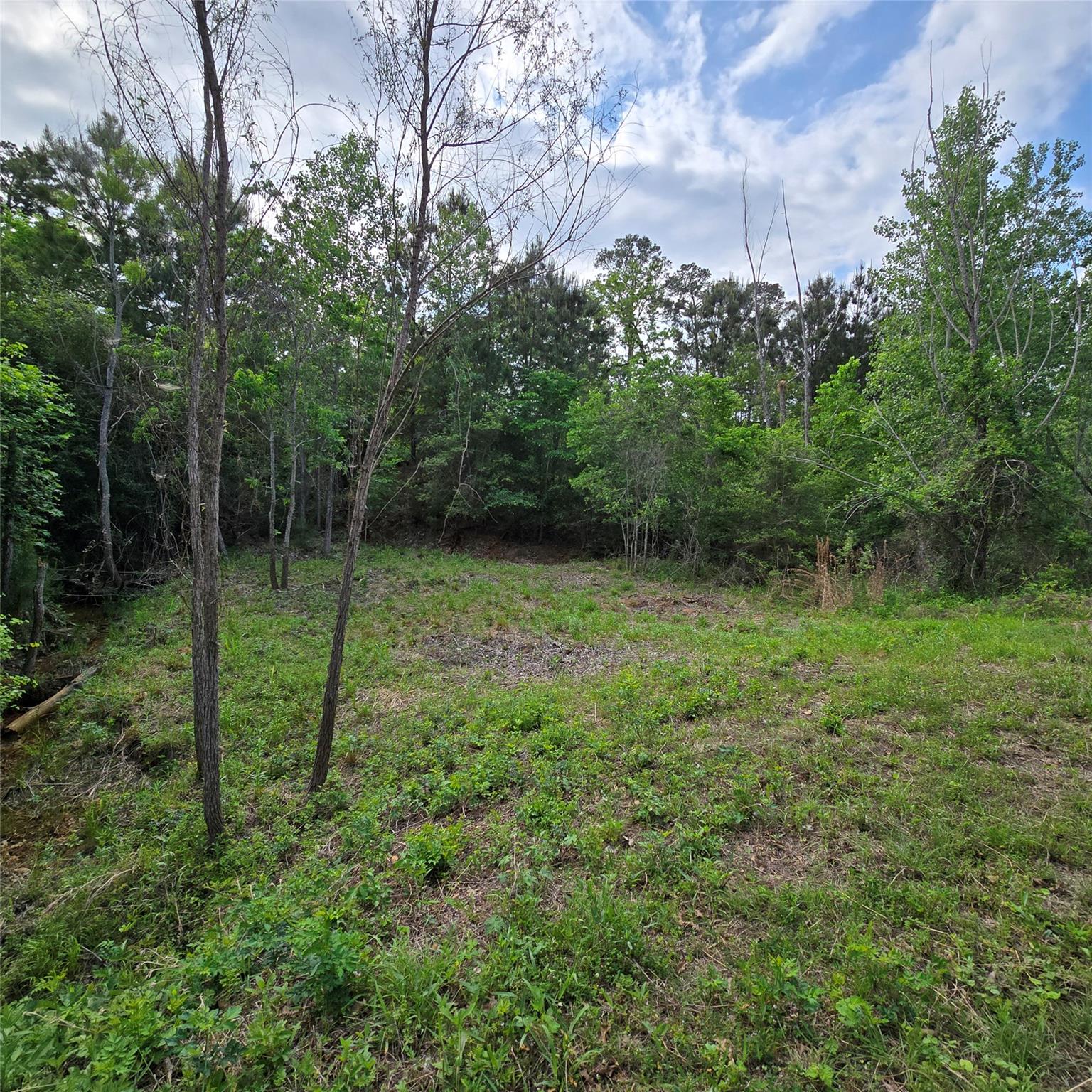 Tbd N Kanaio Dr Property Photo 4