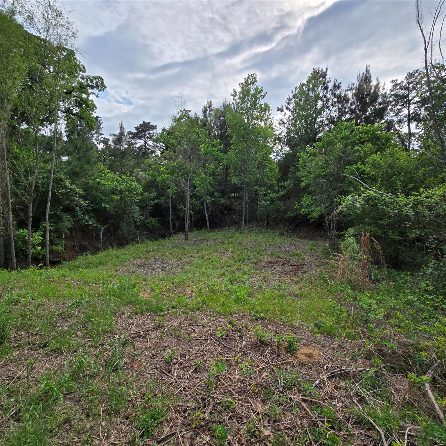Tbd N Kanaio Dr Property Photo 6