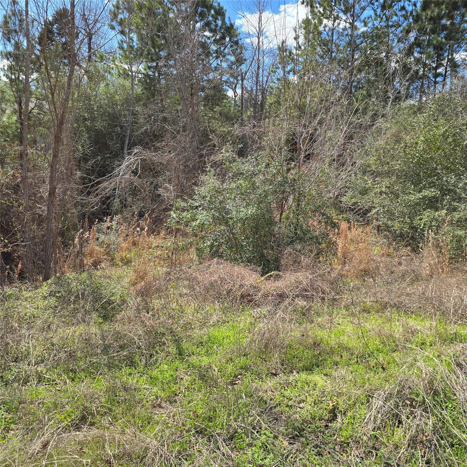 Tbd N Kanaio Dr Property Photo 7
