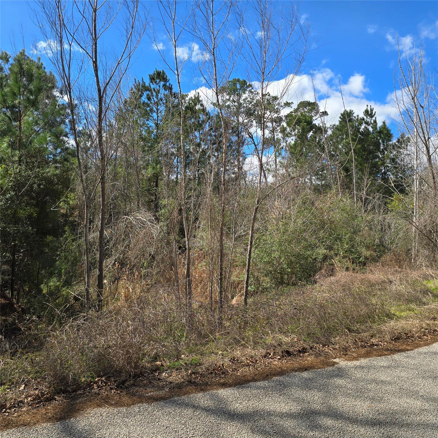 Tbd N Kanaio Dr Property Photo 8