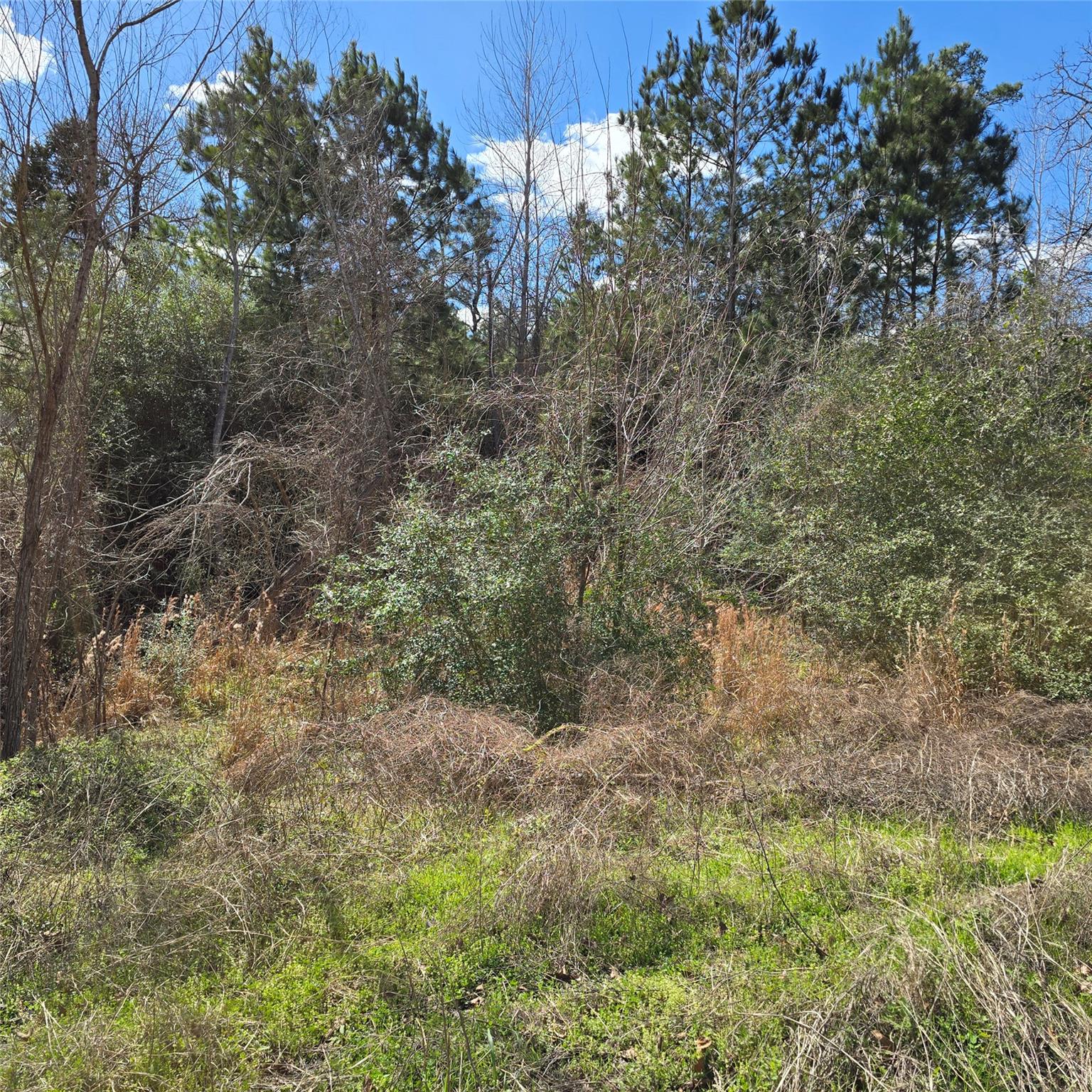 Tbd N Kanaio Dr Property Photo 9
