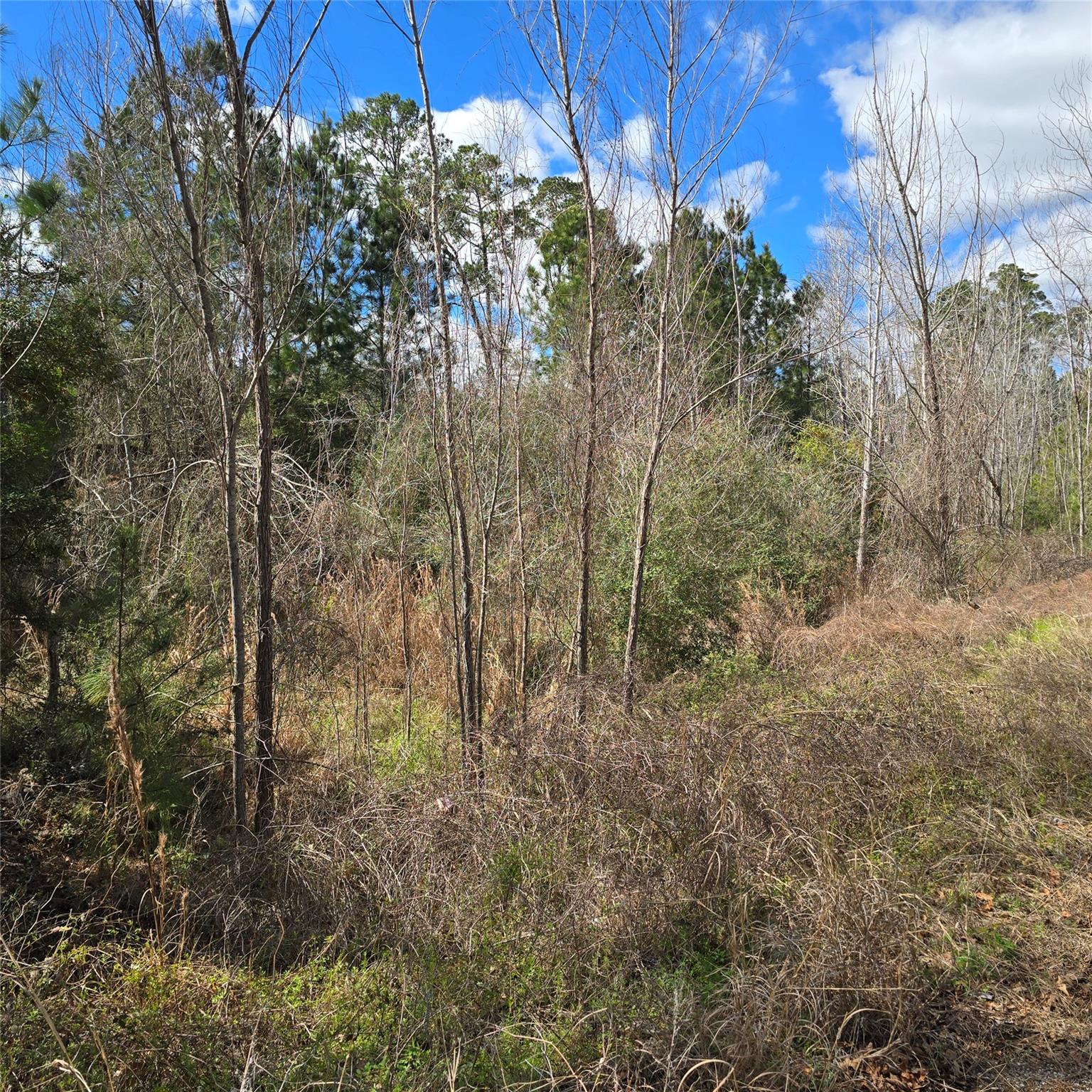 Tbd N Kanaio Dr Property Photo 10