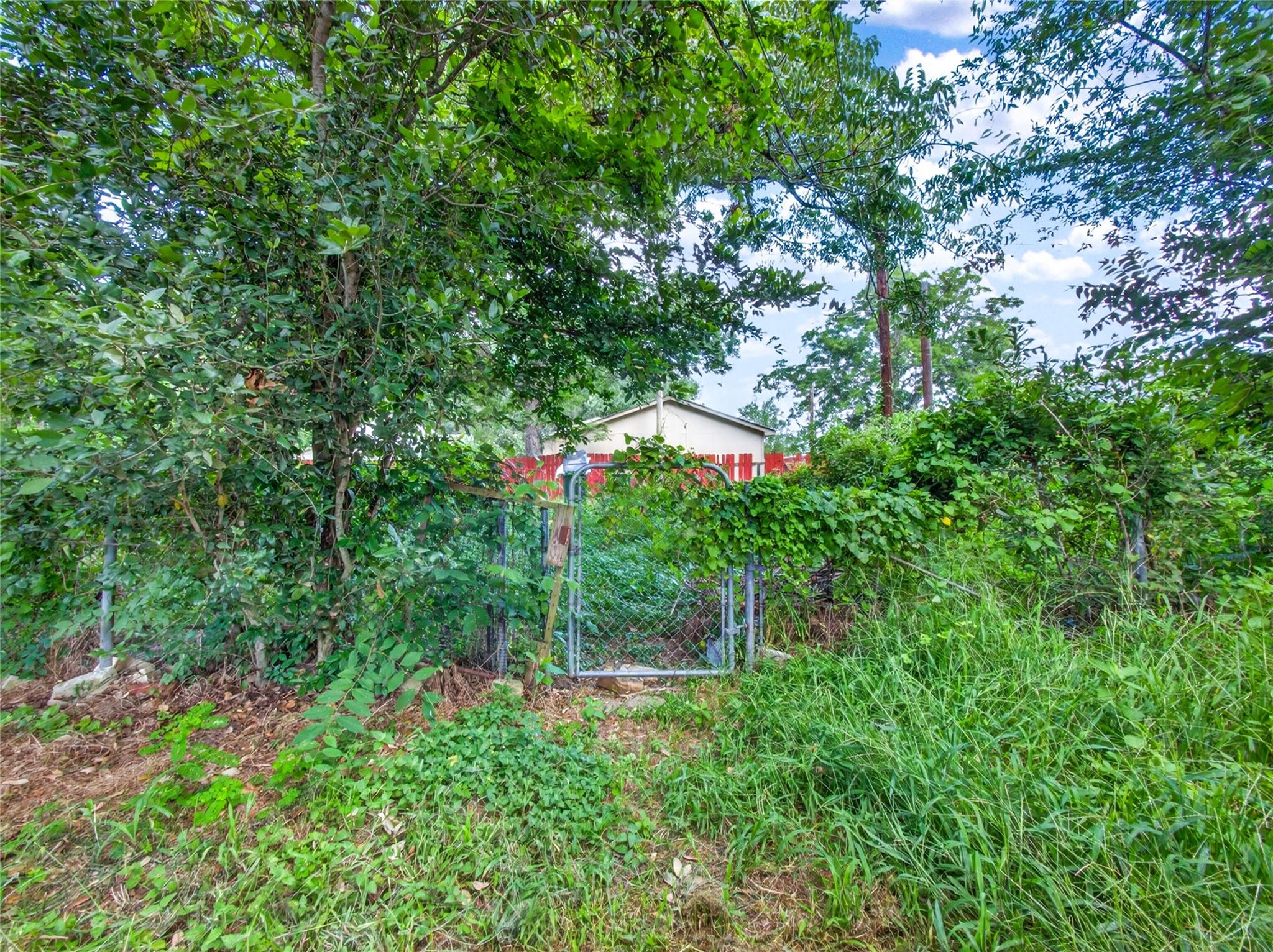 203 Hudgins St Property Photo 30