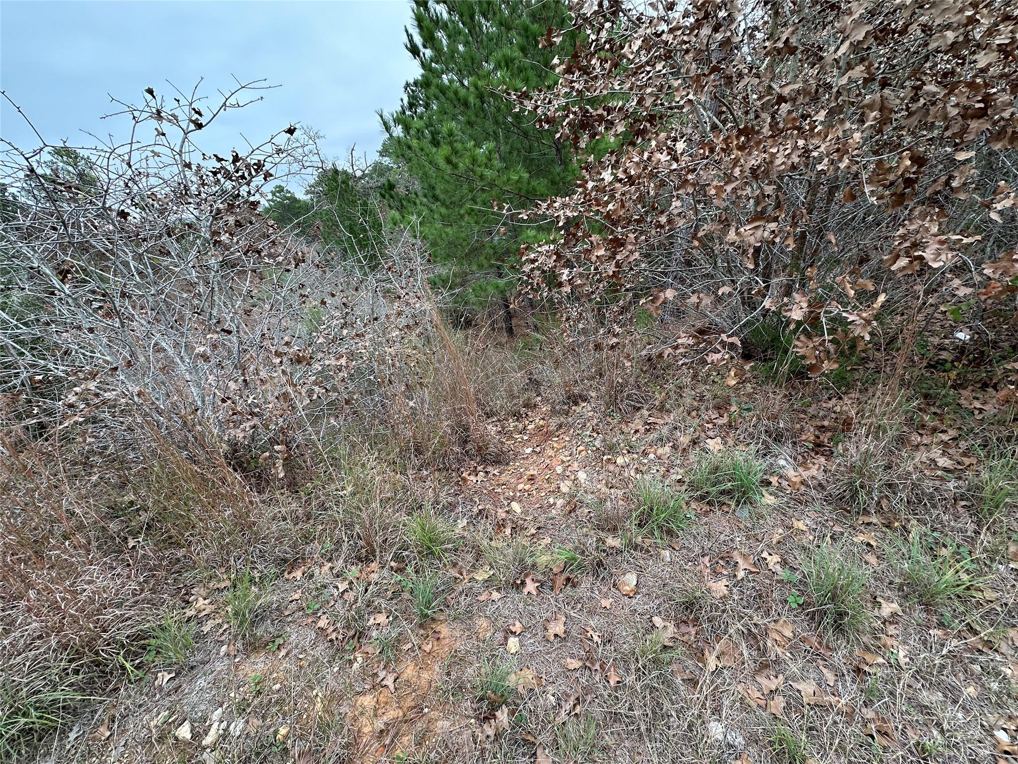 TBD N. Pahihi DR Property Photo 1